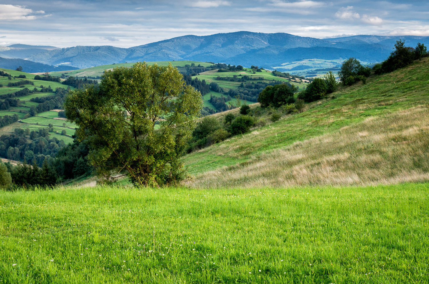 Pentax K-5 IIs sample photo. View from a hill over mszana dolna in the distance gorce mountains photography