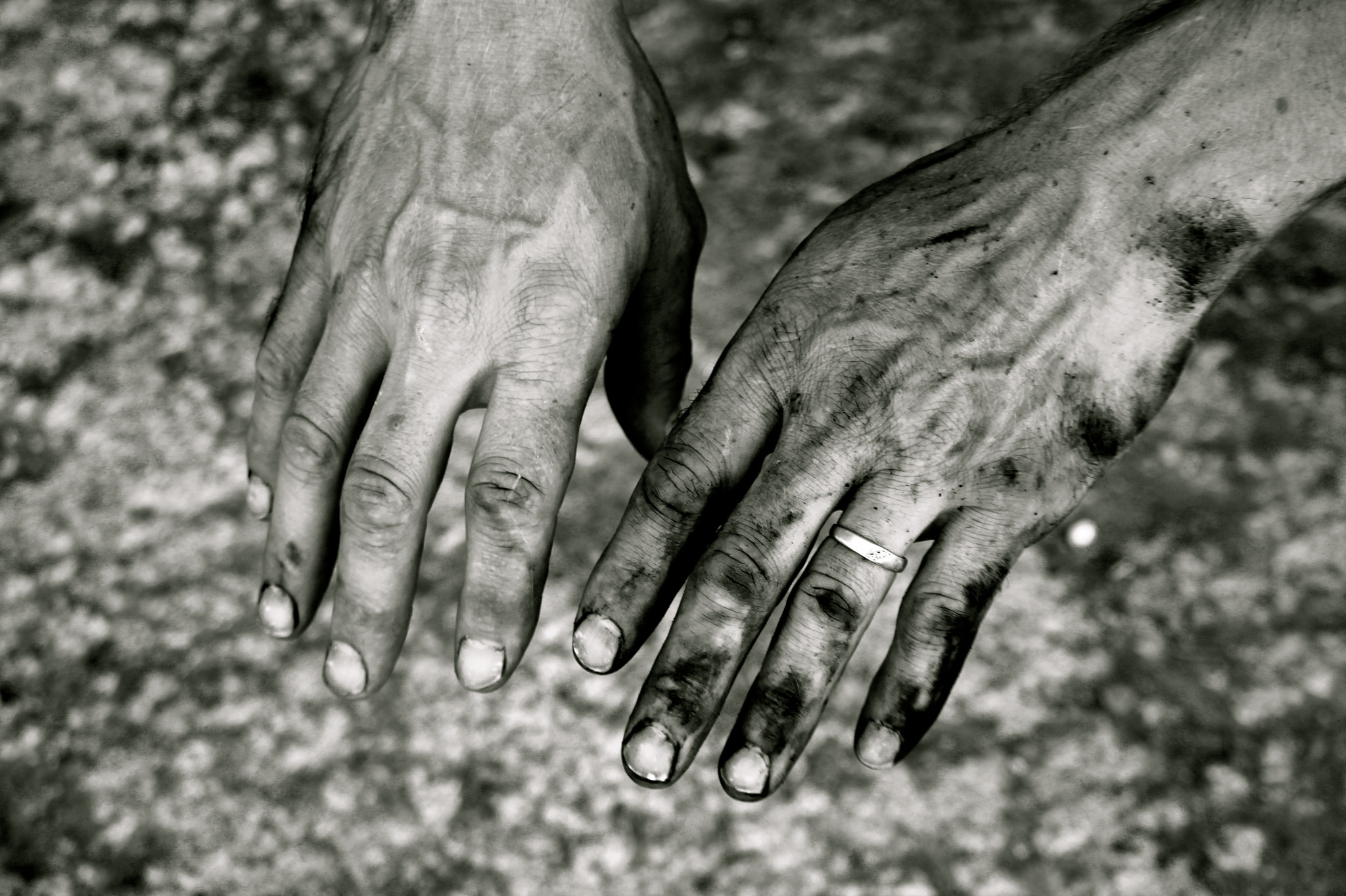 Canon EF-S 55-250mm F4-5.6 IS STM sample photo. A farmer's hands photography