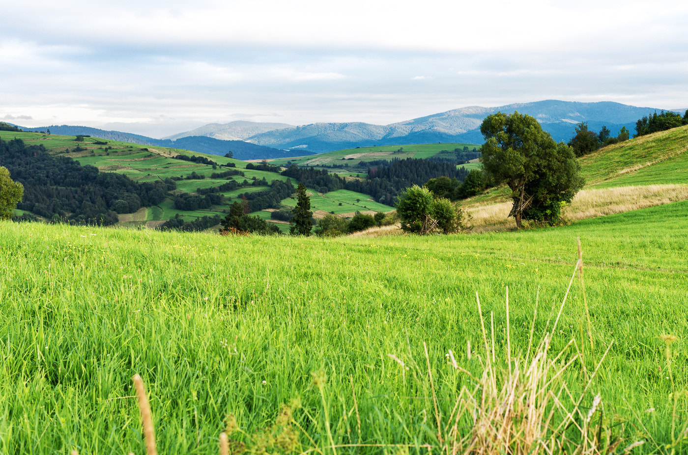 Pentax K-5 IIs sample photo. View from a hill over mszana dolna in the distance gorce photography