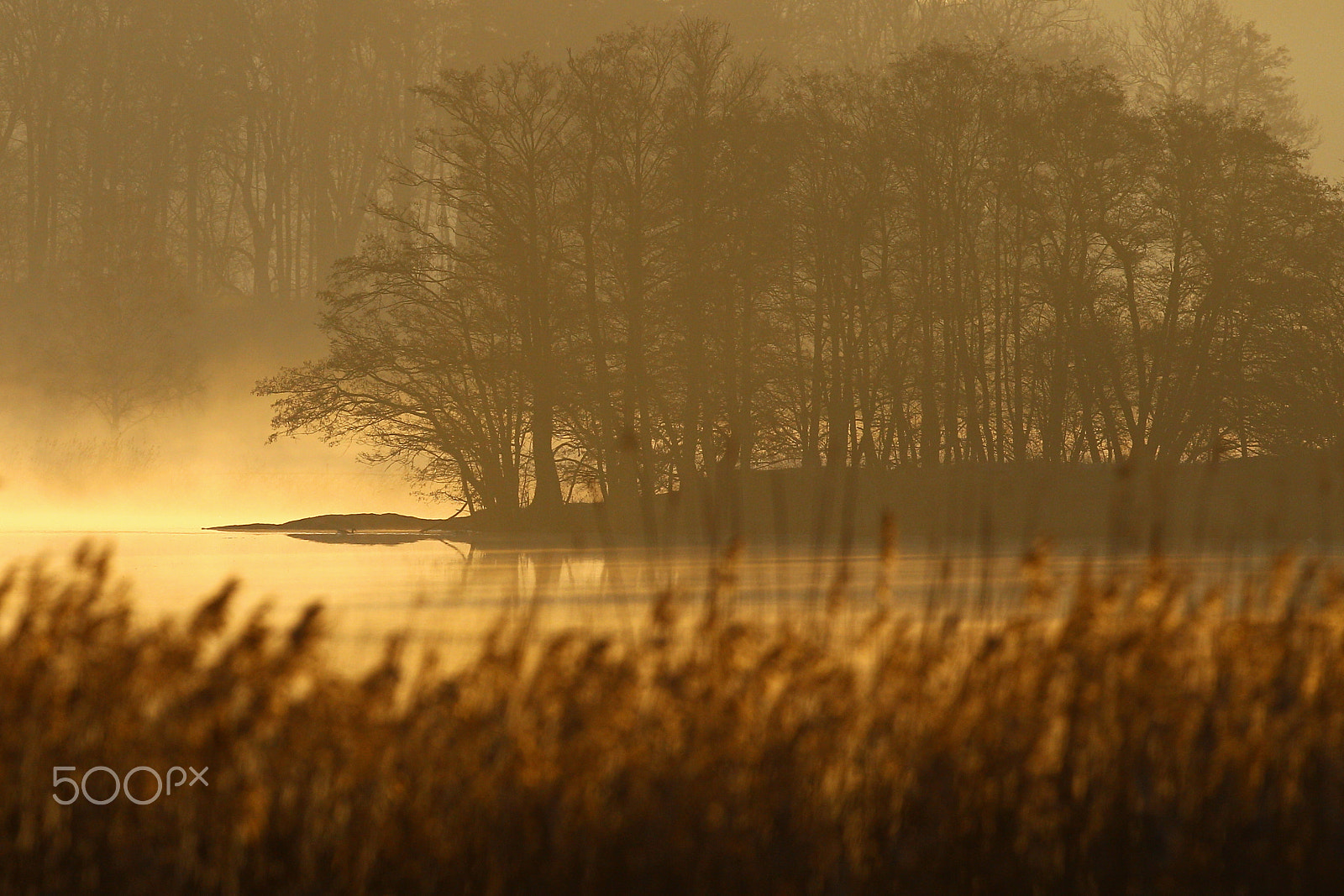 Canon EF 400mm F2.8L IS USM sample photo. Sunrise over the lake photography