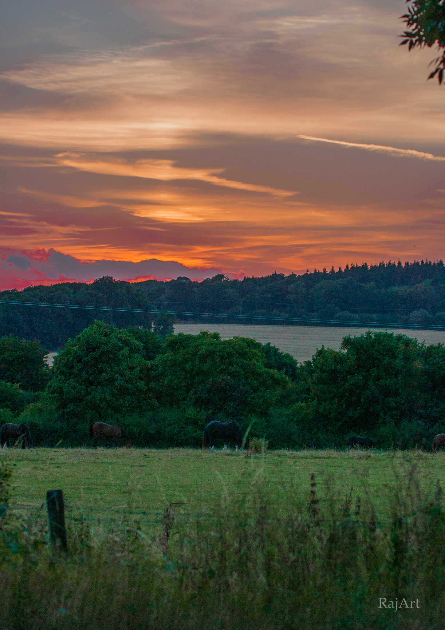 Nikon D40 sample photo. Sunset photography