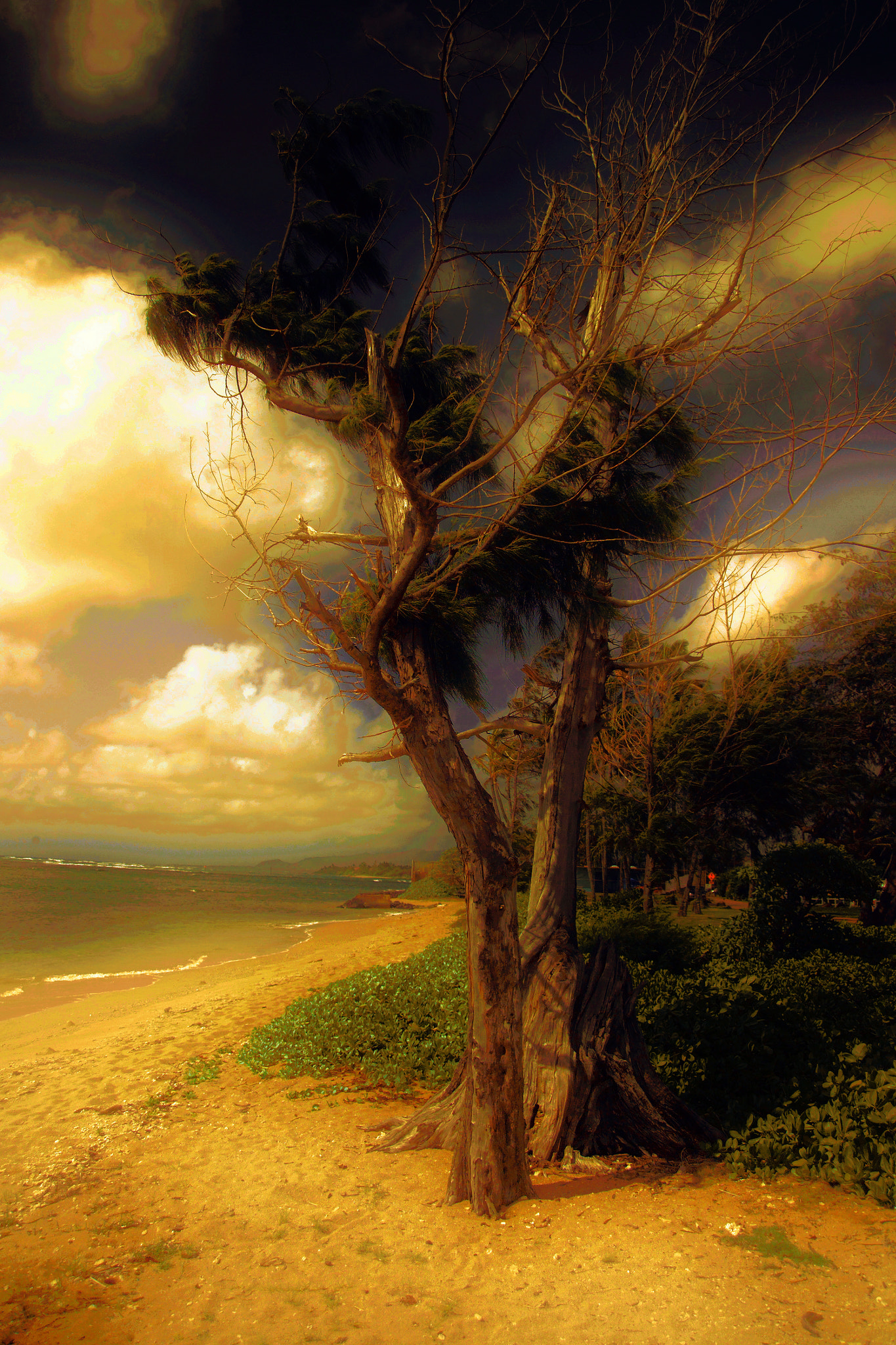 Kodak DCS Pro 14N sample photo. A new day photography