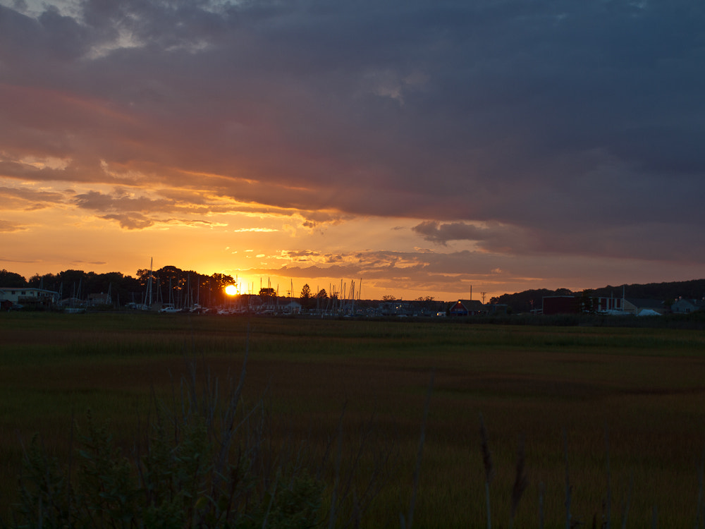 OLYMPUS 14-42mm Lens sample photo. Gradient of color. photography