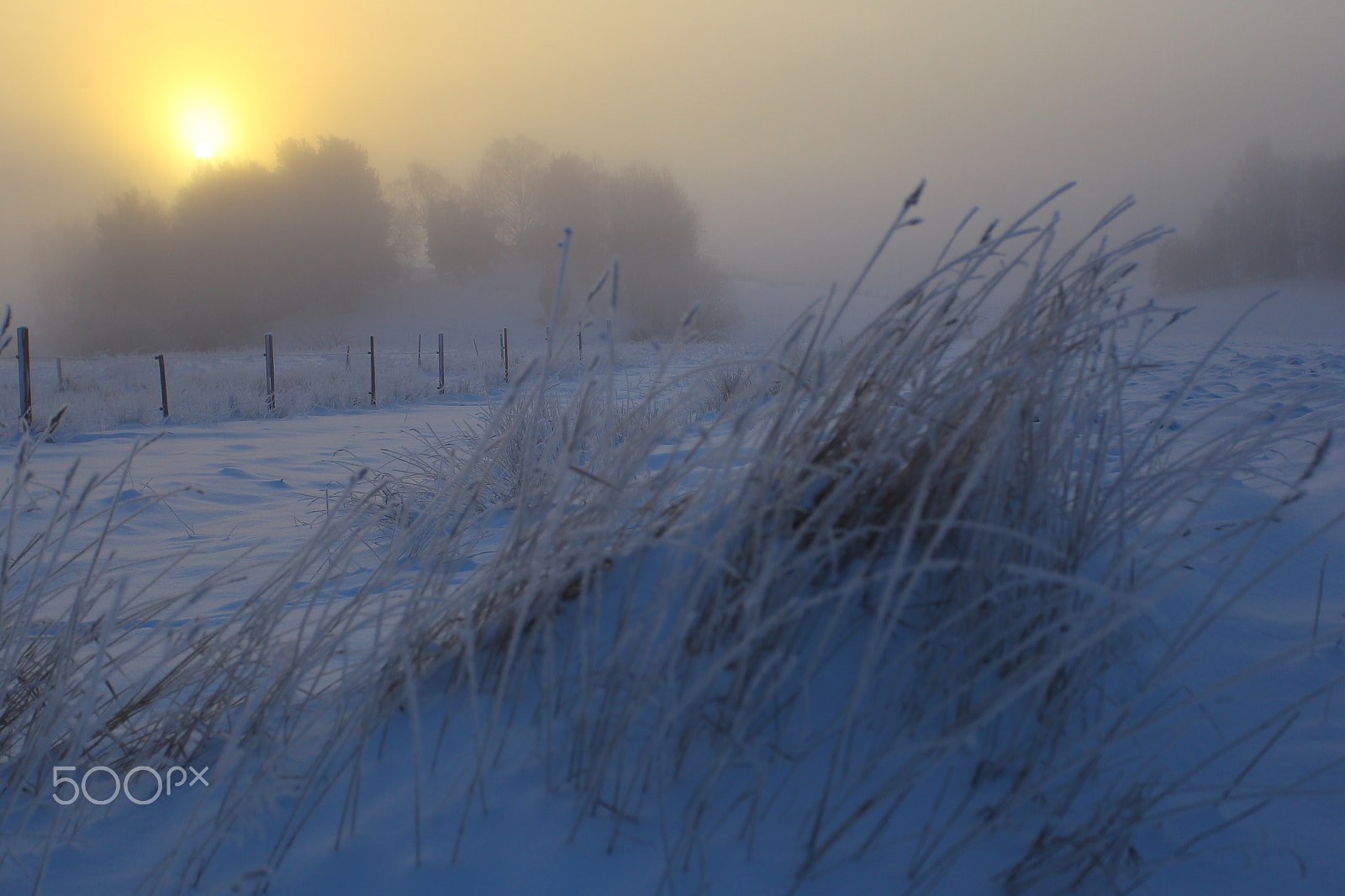 Canon EF 17-40mm F4L USM sample photo. Fog , snow and cold photography