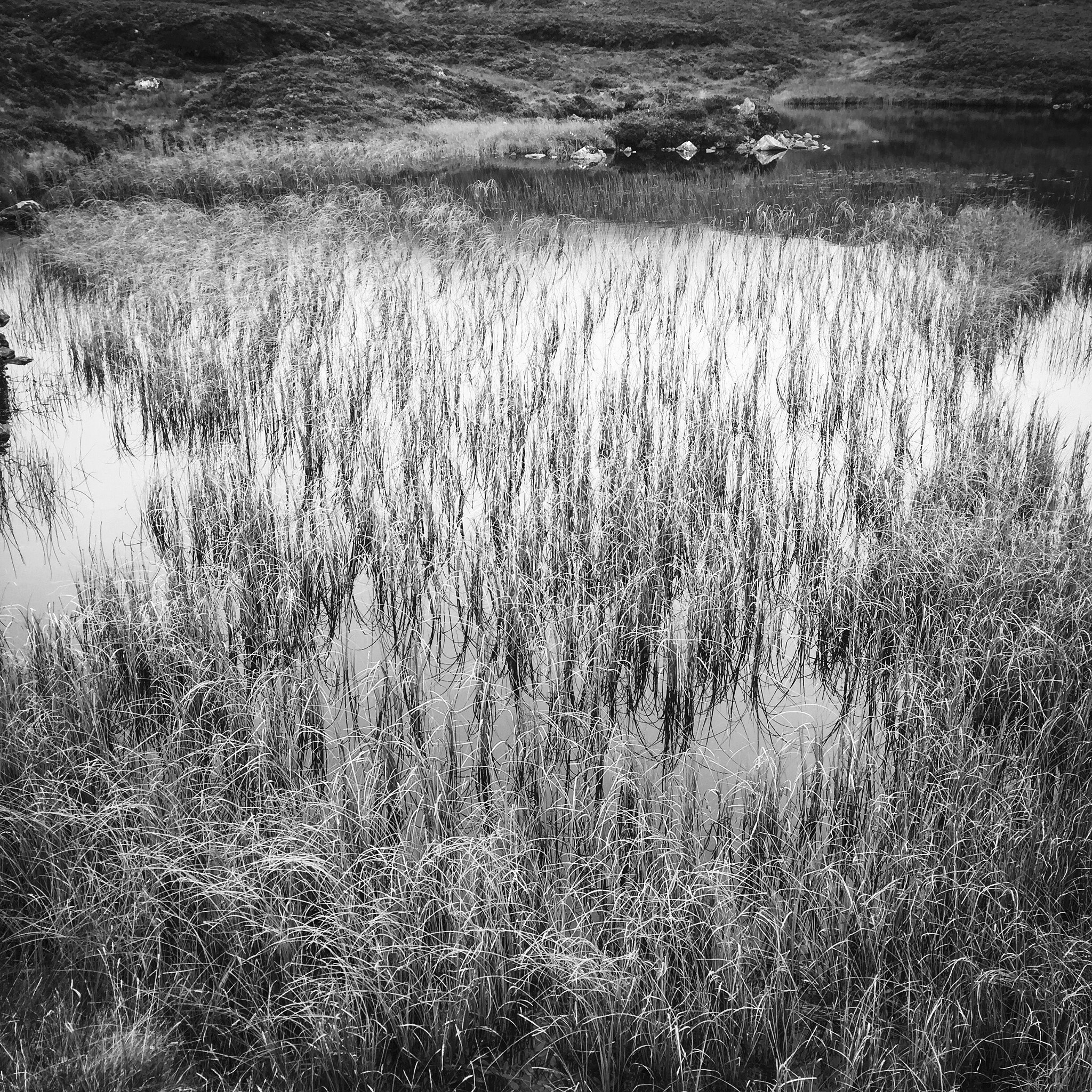 Jag.gr 6X6 for iPhone sample photo. Grey mare's tail, loch skeen photography