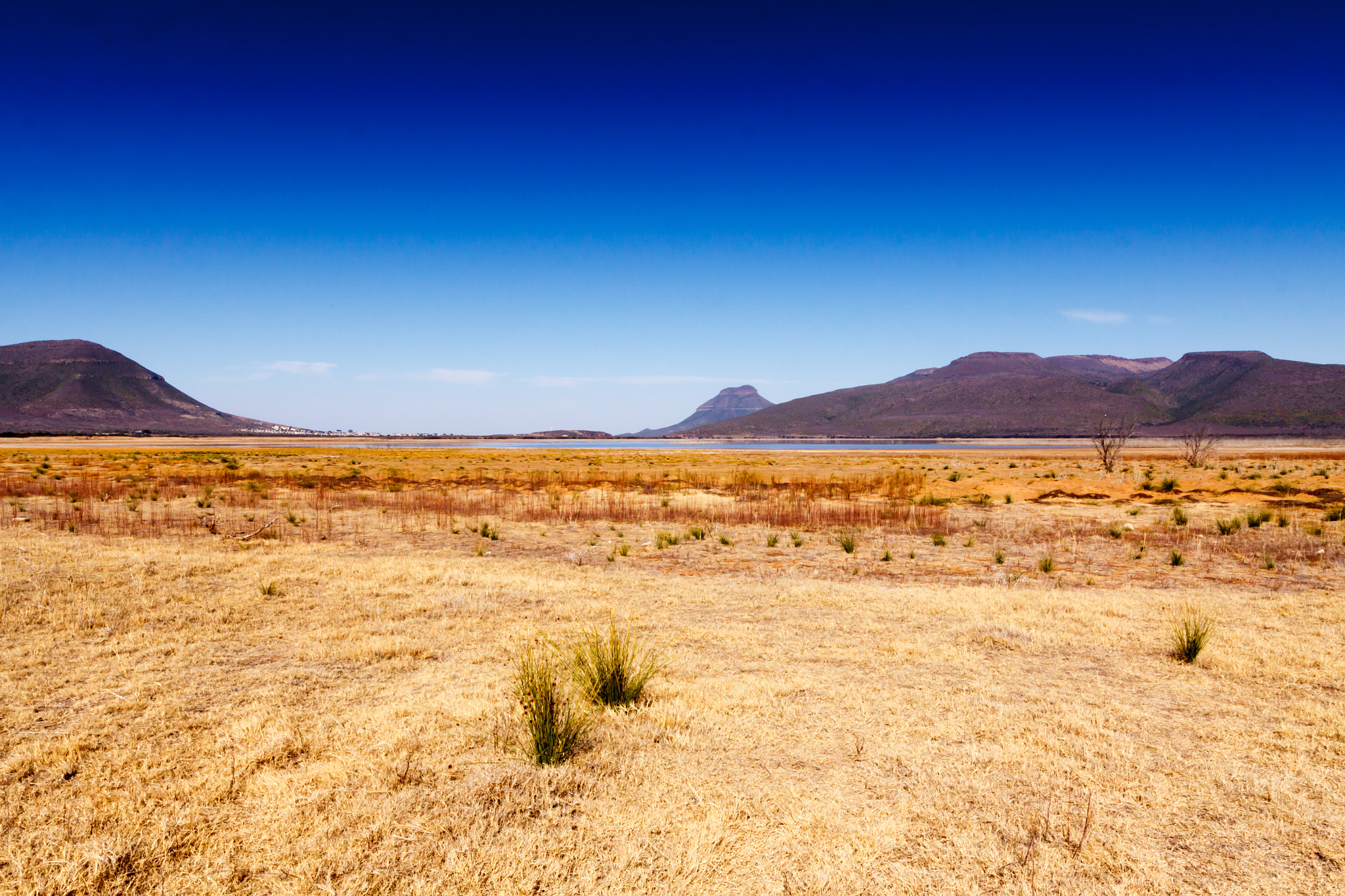 Canon EOS 50D + Canon EF 300mm f/2.8L sample photo. At the dam - graaff-reinet landscape photography
