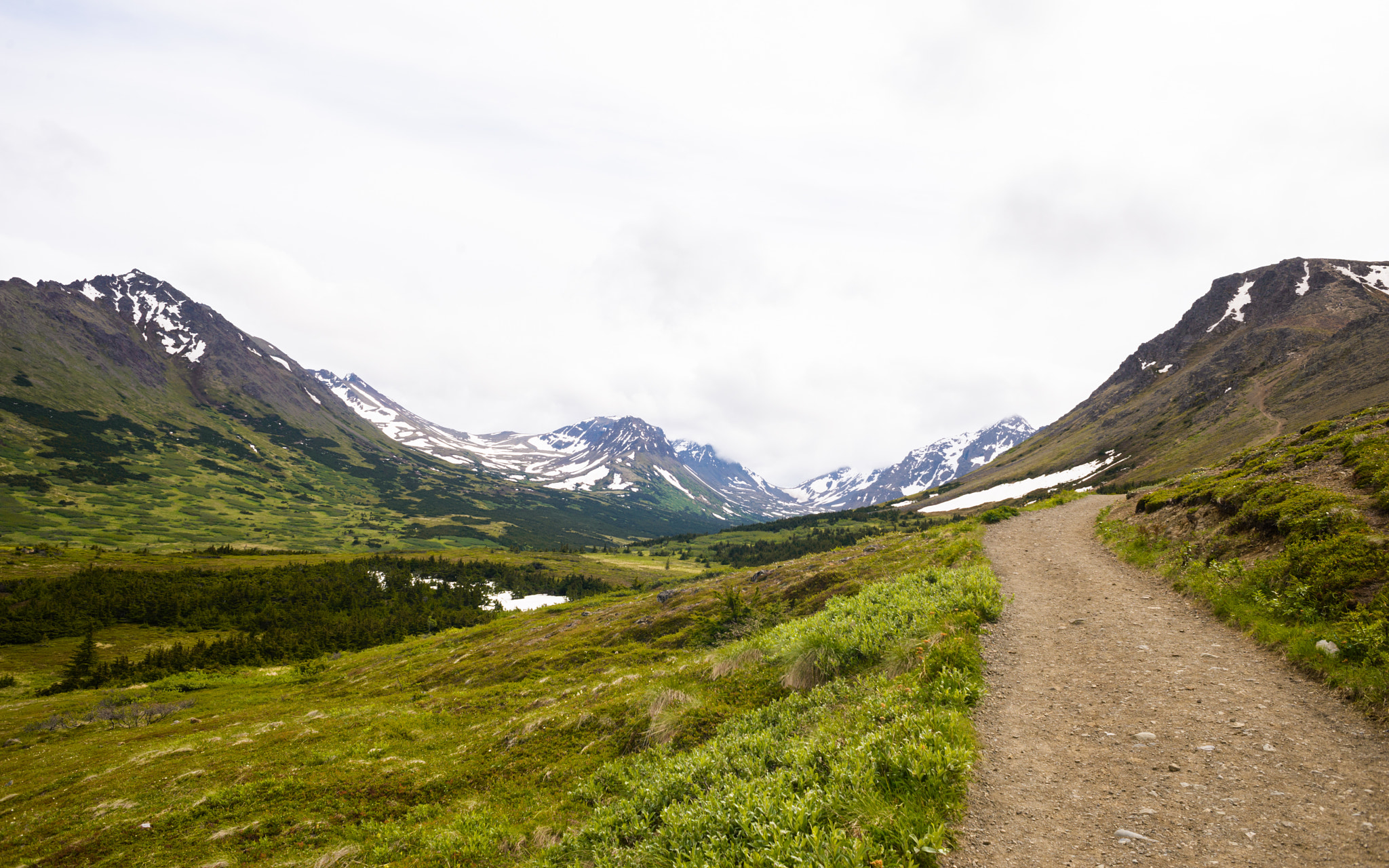 Nikon D610 + AF Nikkor 24mm f/2.8 sample photo. Ak honeymoon anchorage & flattop mountain photography