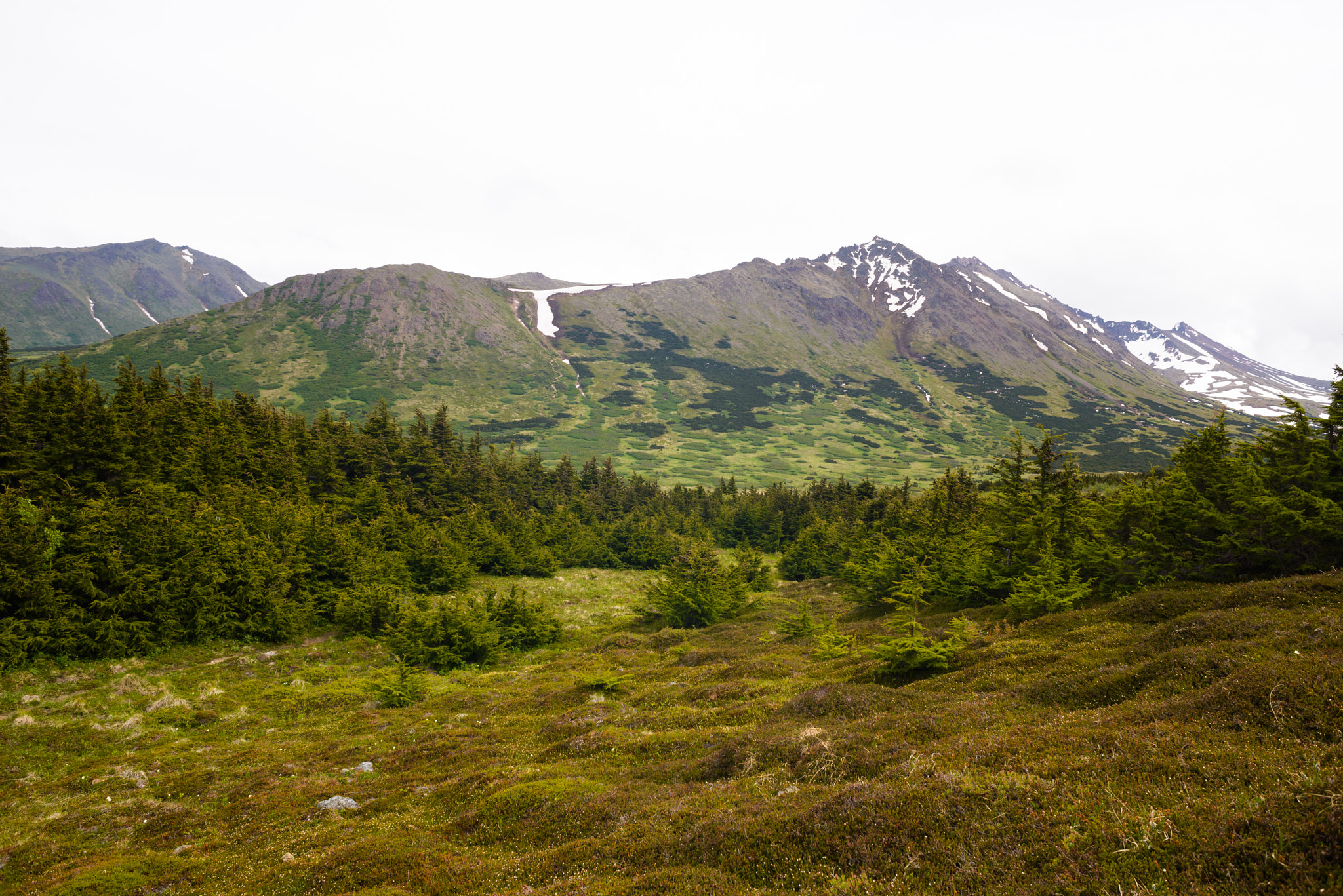 Nikon D610 + AF Nikkor 24mm f/2.8 sample photo. Ak honeymoon anchorage & flattop mountain photography