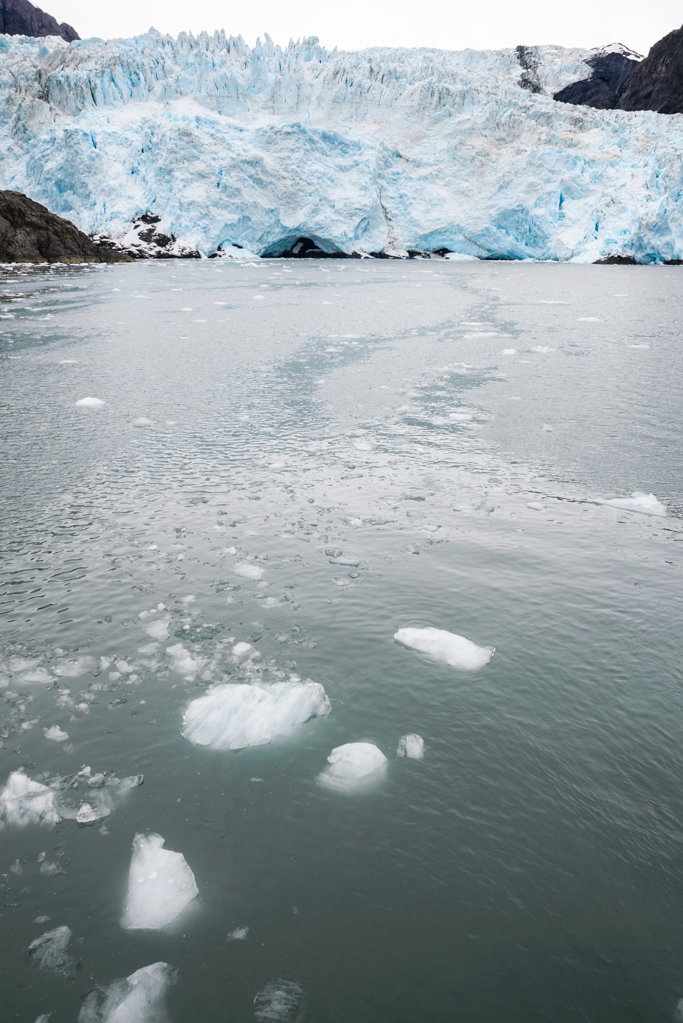 Nikon D610 + AF Nikkor 24mm f/2.8 sample photo. Ak honeymoon seward boat tour photography