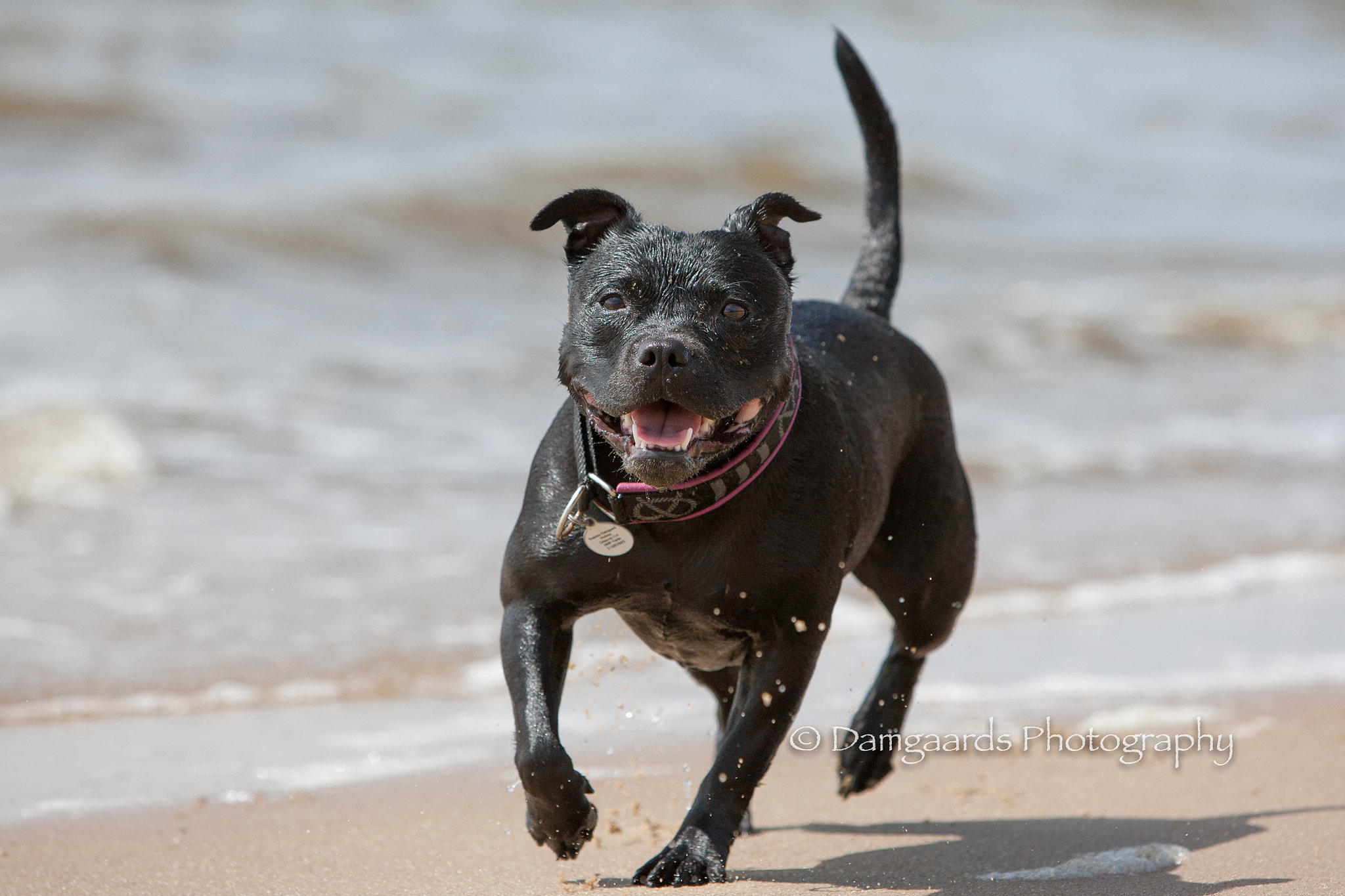 Canon EOS-1Ds Mark III sample photo. Lola run photography