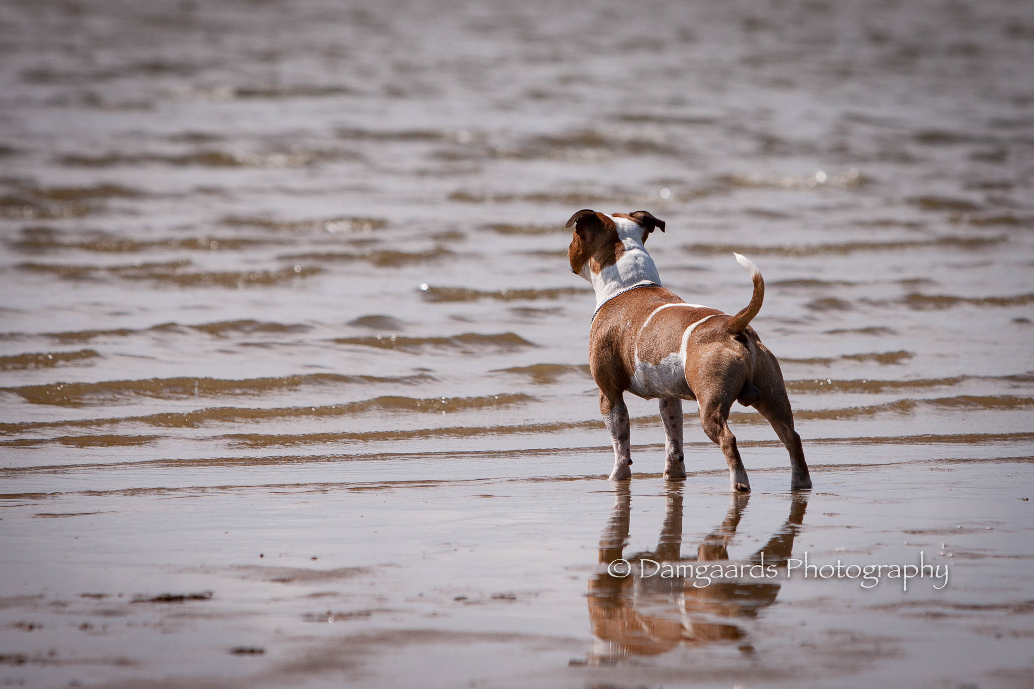 Canon EOS-1Ds Mark III sample photo. Hemi water photography