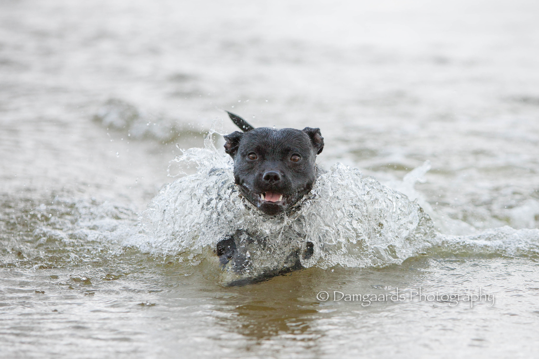 Canon EOS-1Ds Mark III sample photo. Lola water photography