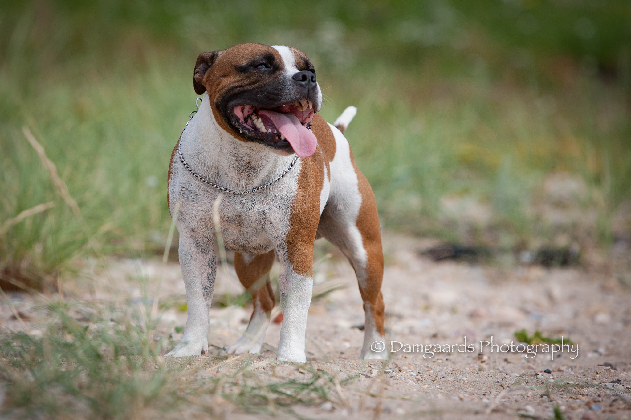 Canon EOS-1Ds Mark III sample photo. Hemi photography