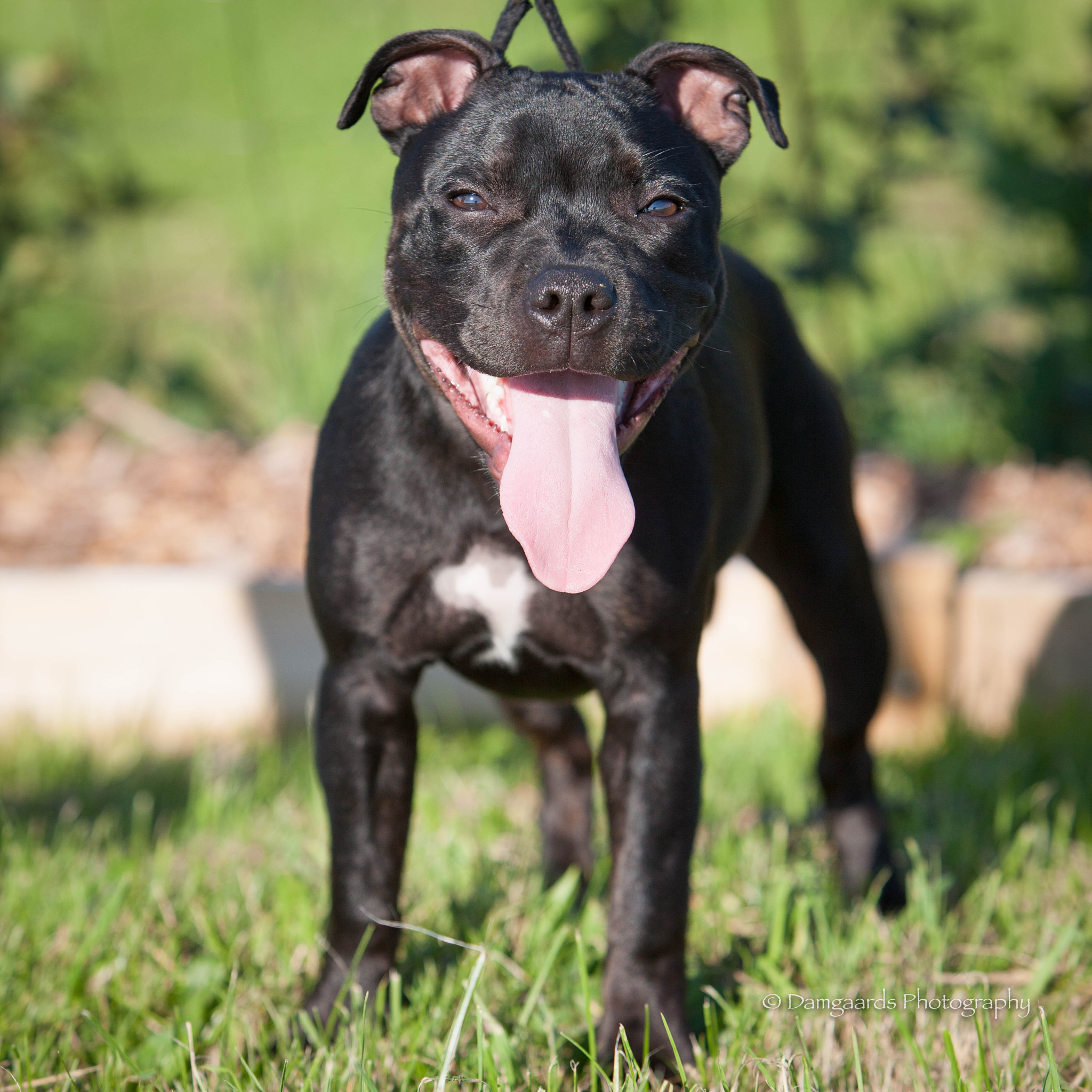 Canon EOS-1Ds Mark III sample photo. Kali smile photography