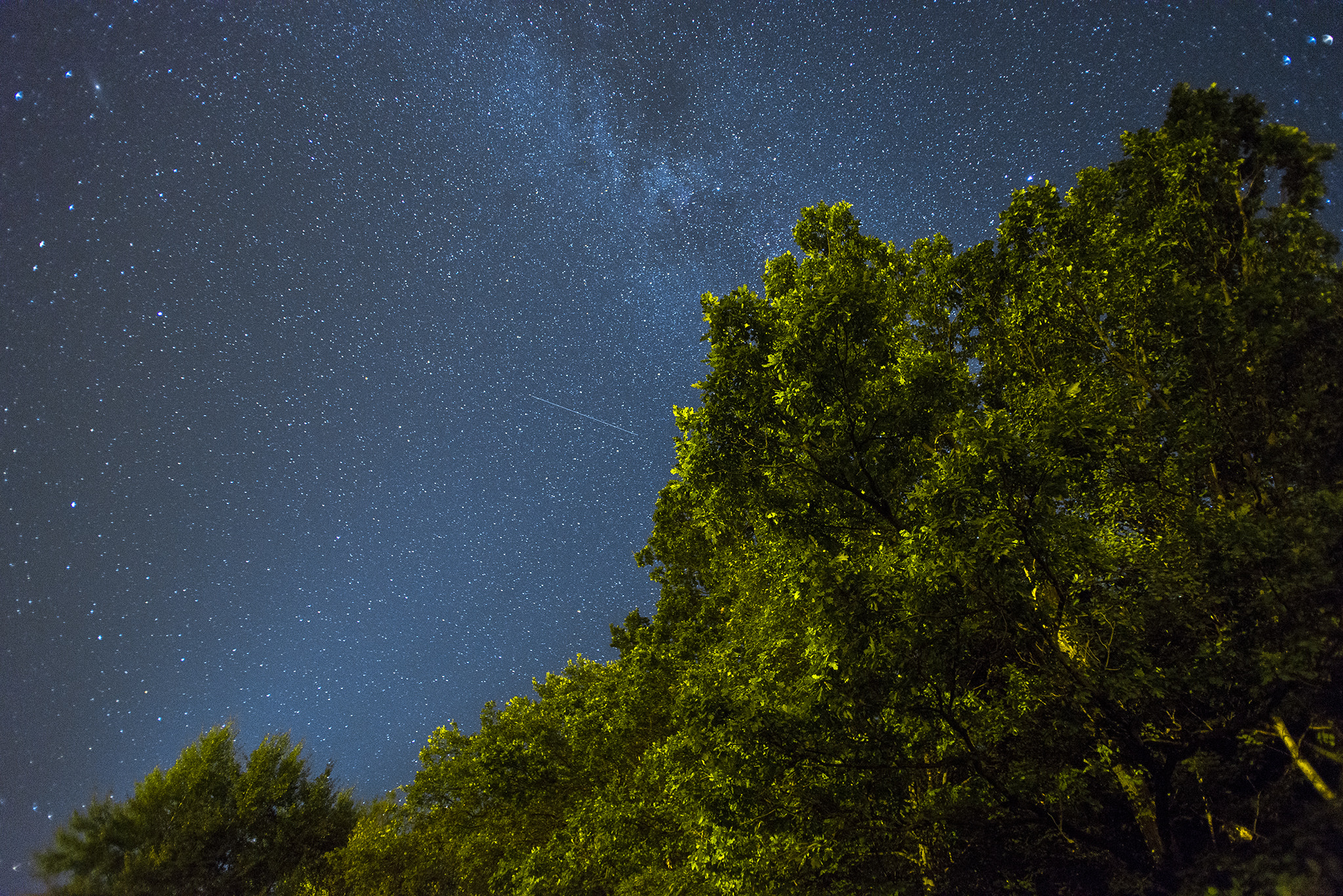 Nikon D600 sample photo. Star wood photography