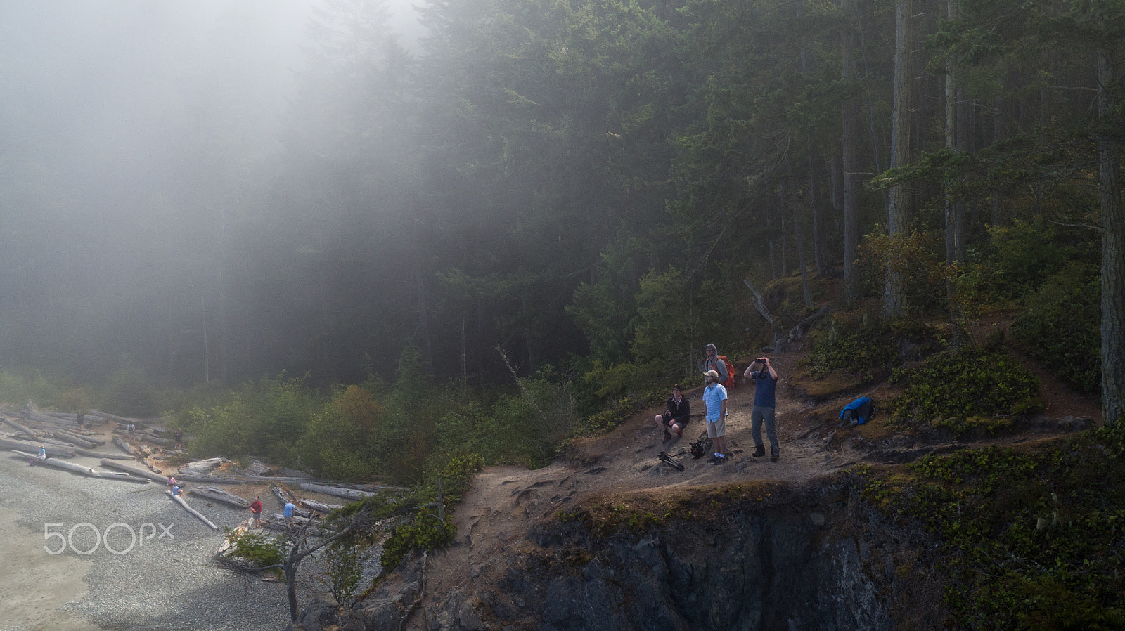 DJI FC550 sample photo. Waiting on the fog photography