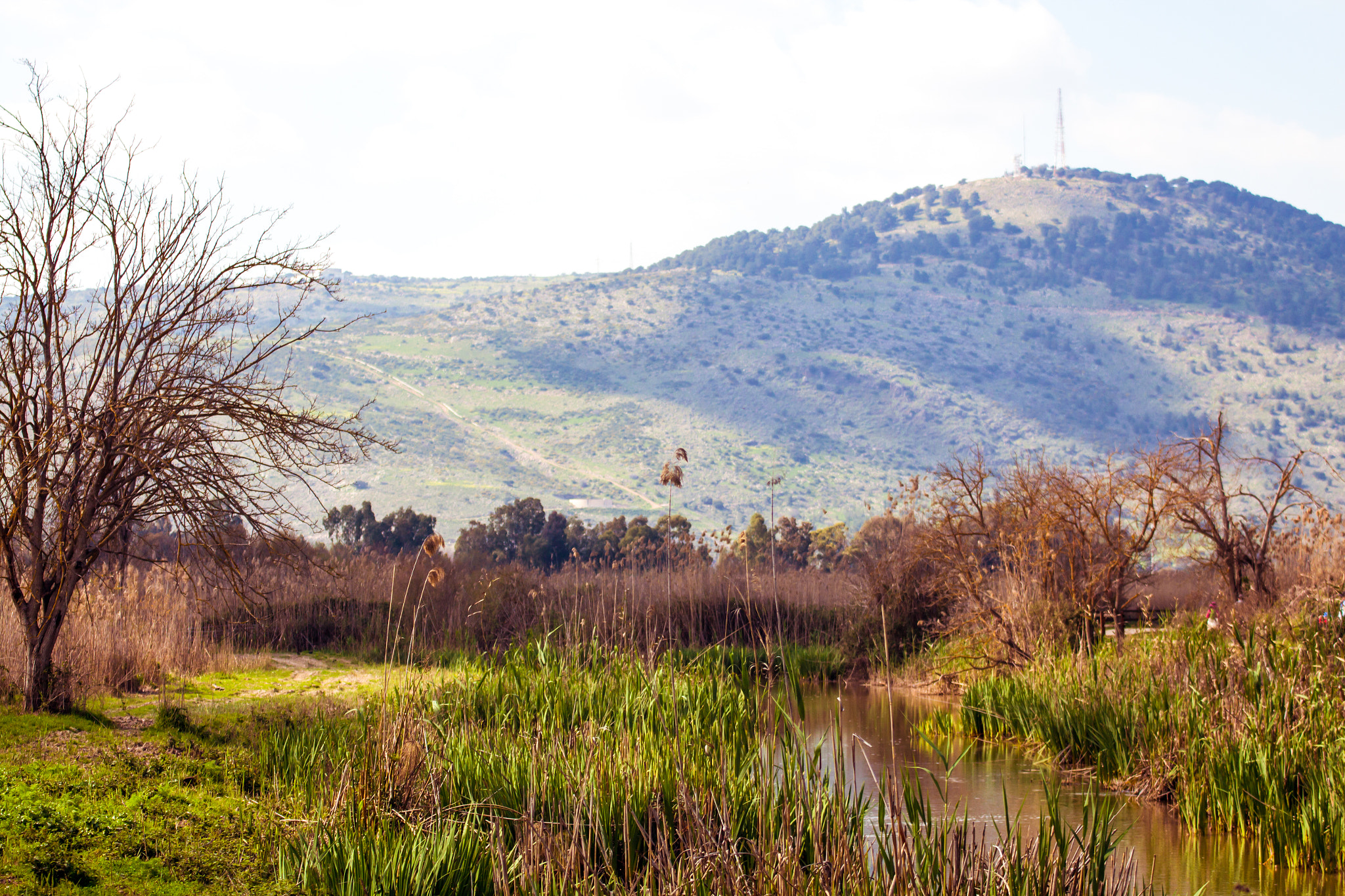 Canon EOS 650D (EOS Rebel T4i / EOS Kiss X6i) sample photo. Hula lake photography