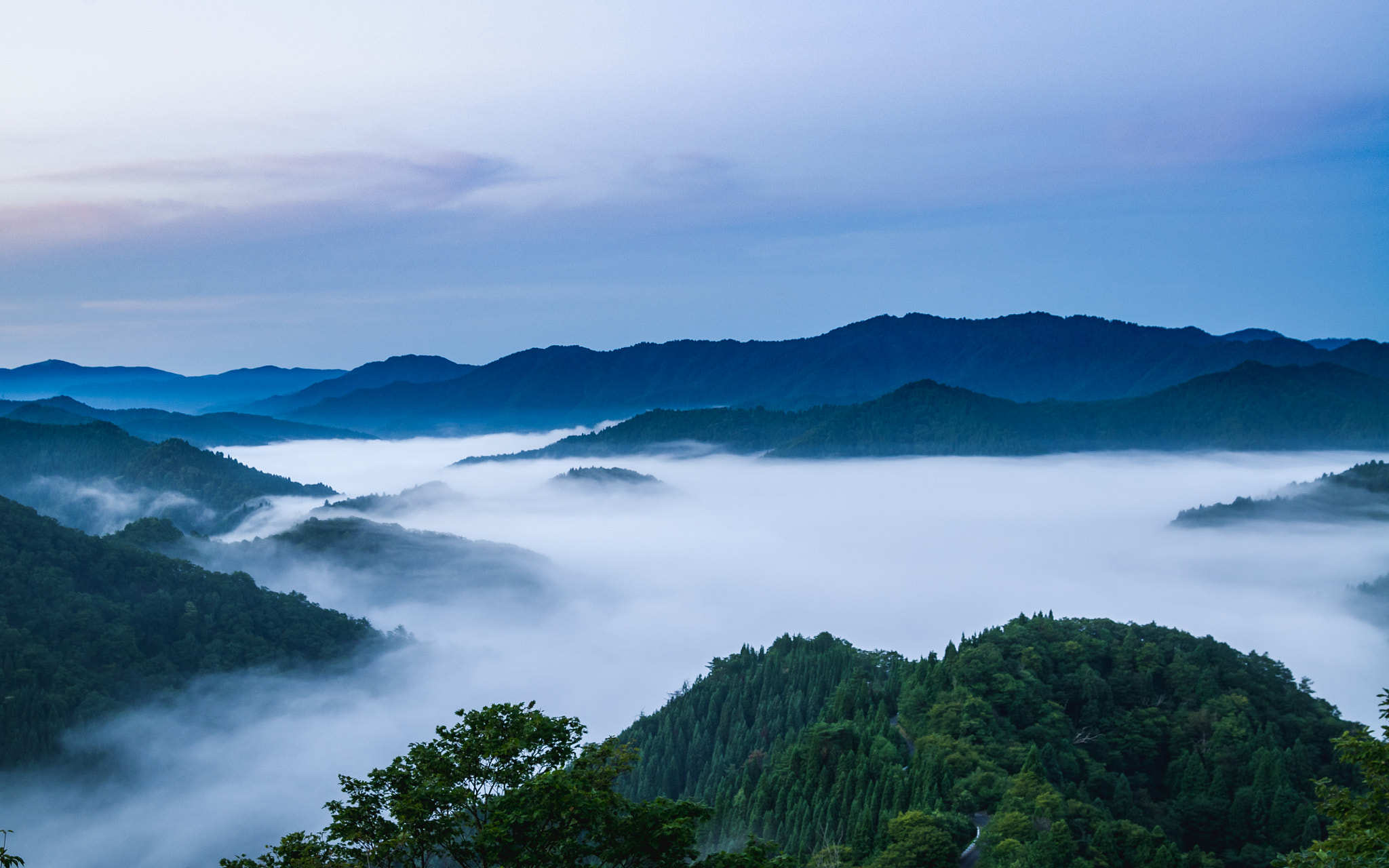 Nikon D300 sample photo. Sea of clouds photography