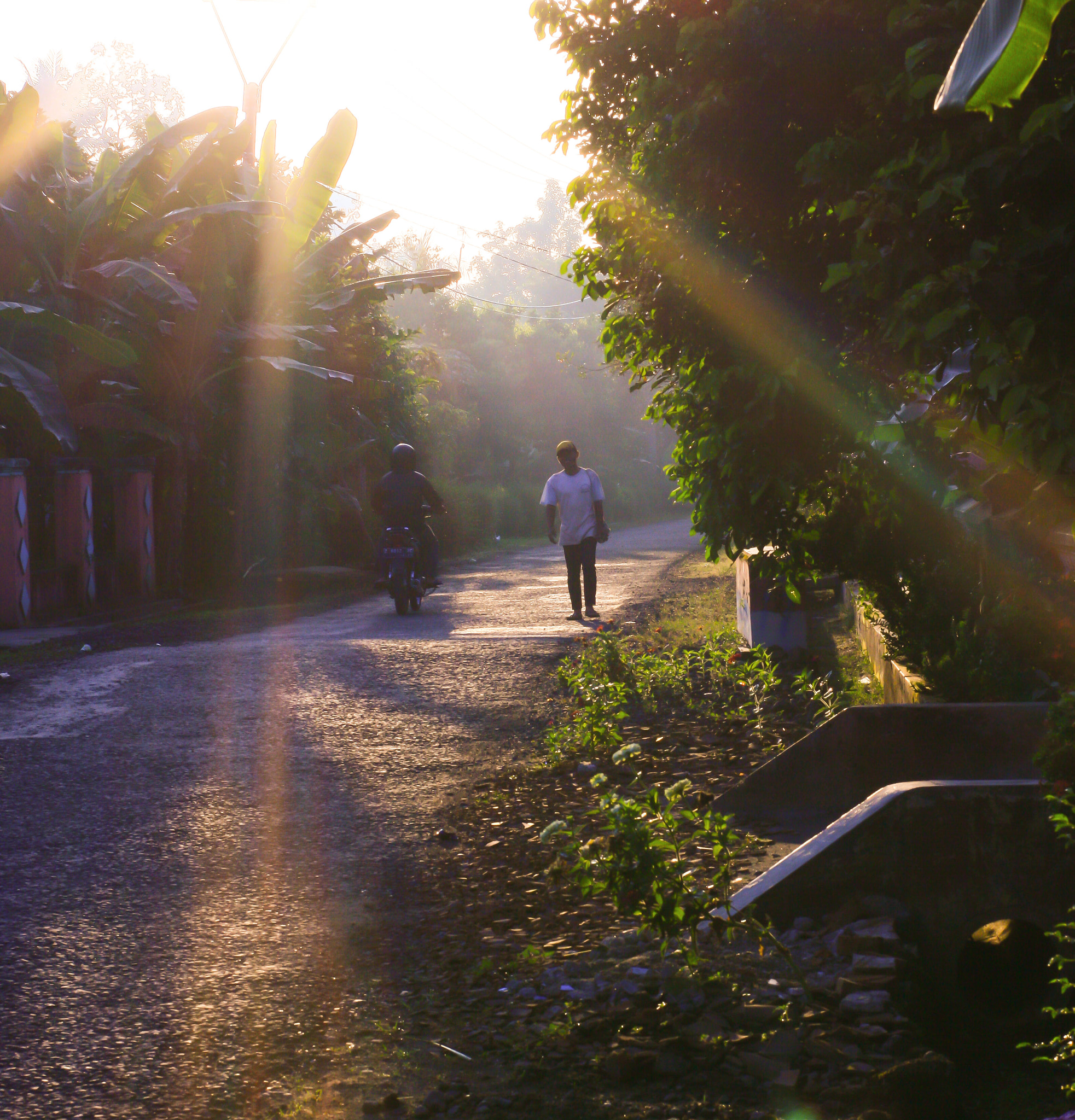 ZEISS Planar T* 50mm F1.4 sample photo. Morning activity photography