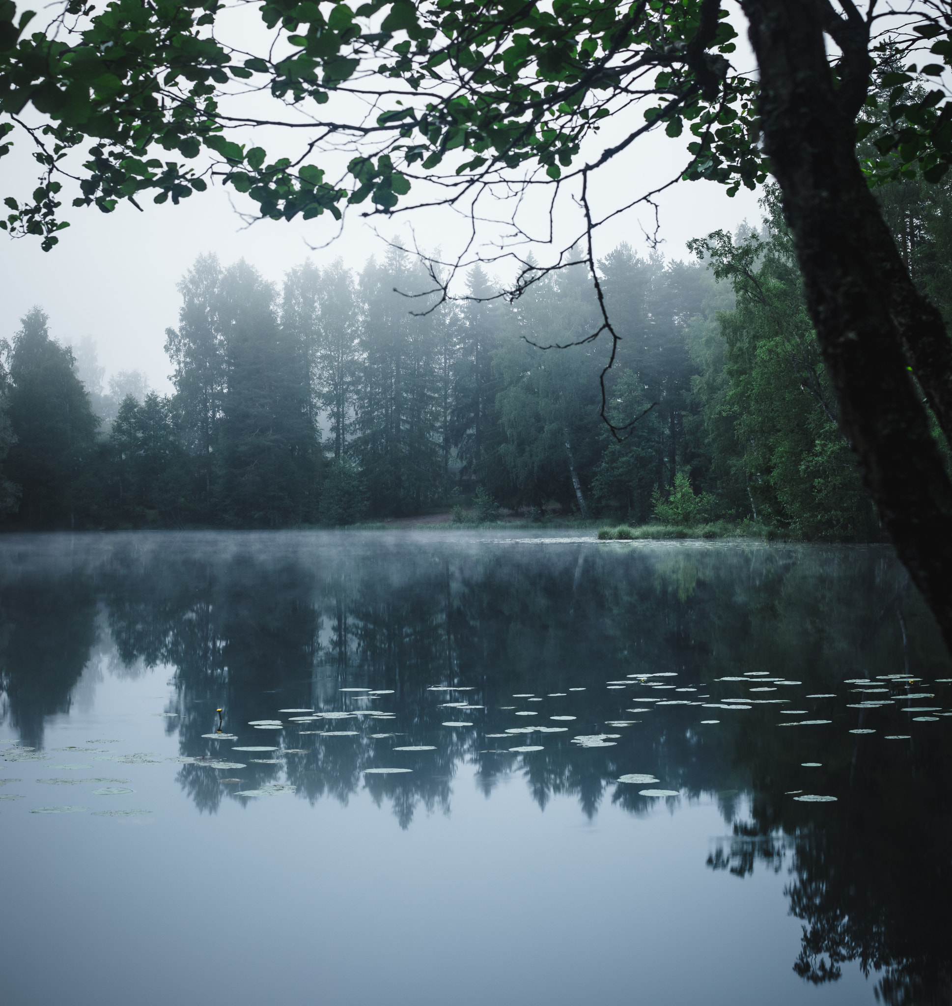 Sigma 50mm F1.4 EX DG HSM sample photo. Tiny lake in the woods photography