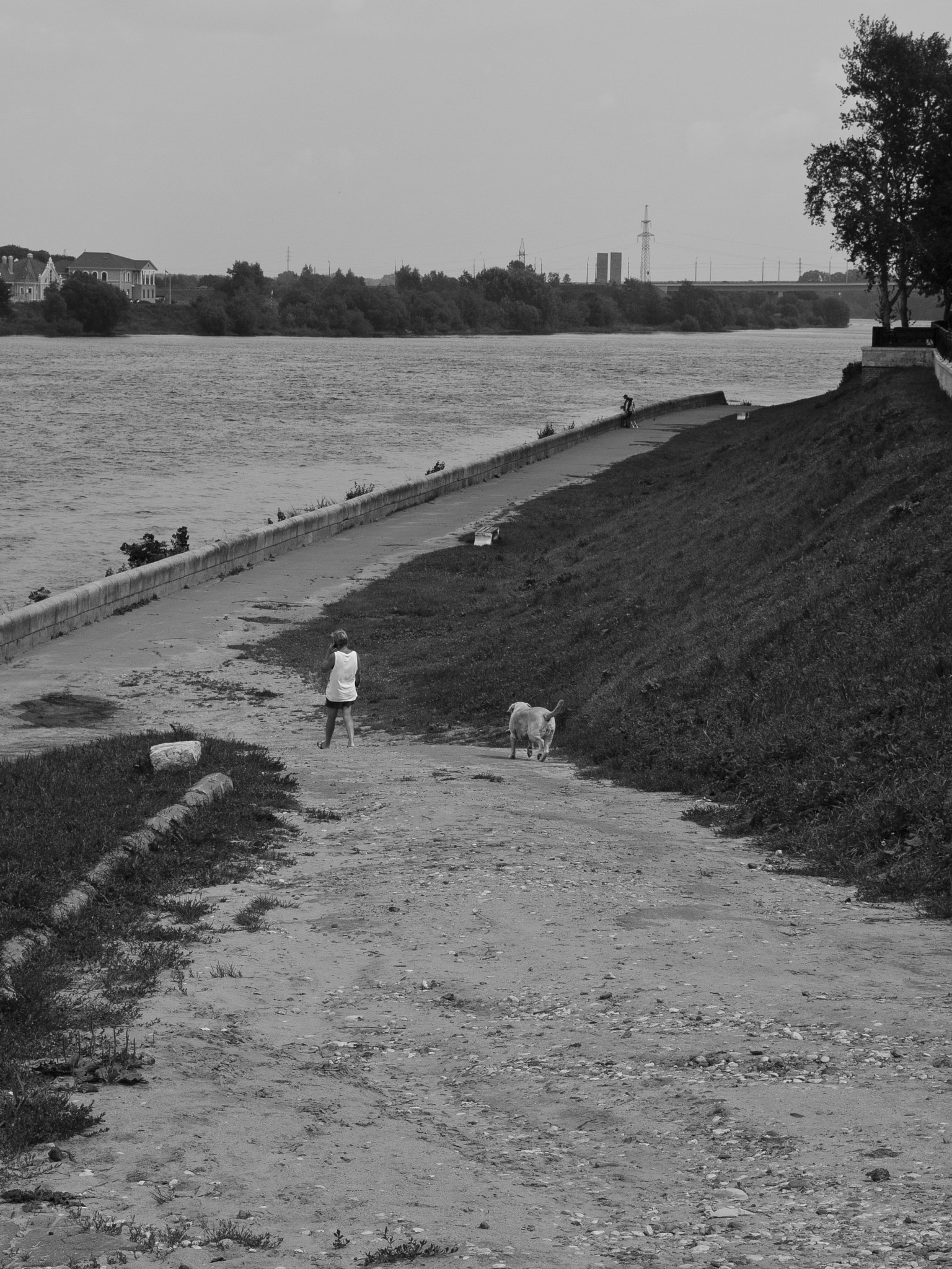 SIGMA 18-50mm F2.8 DC sample photo. Summer promenade photography