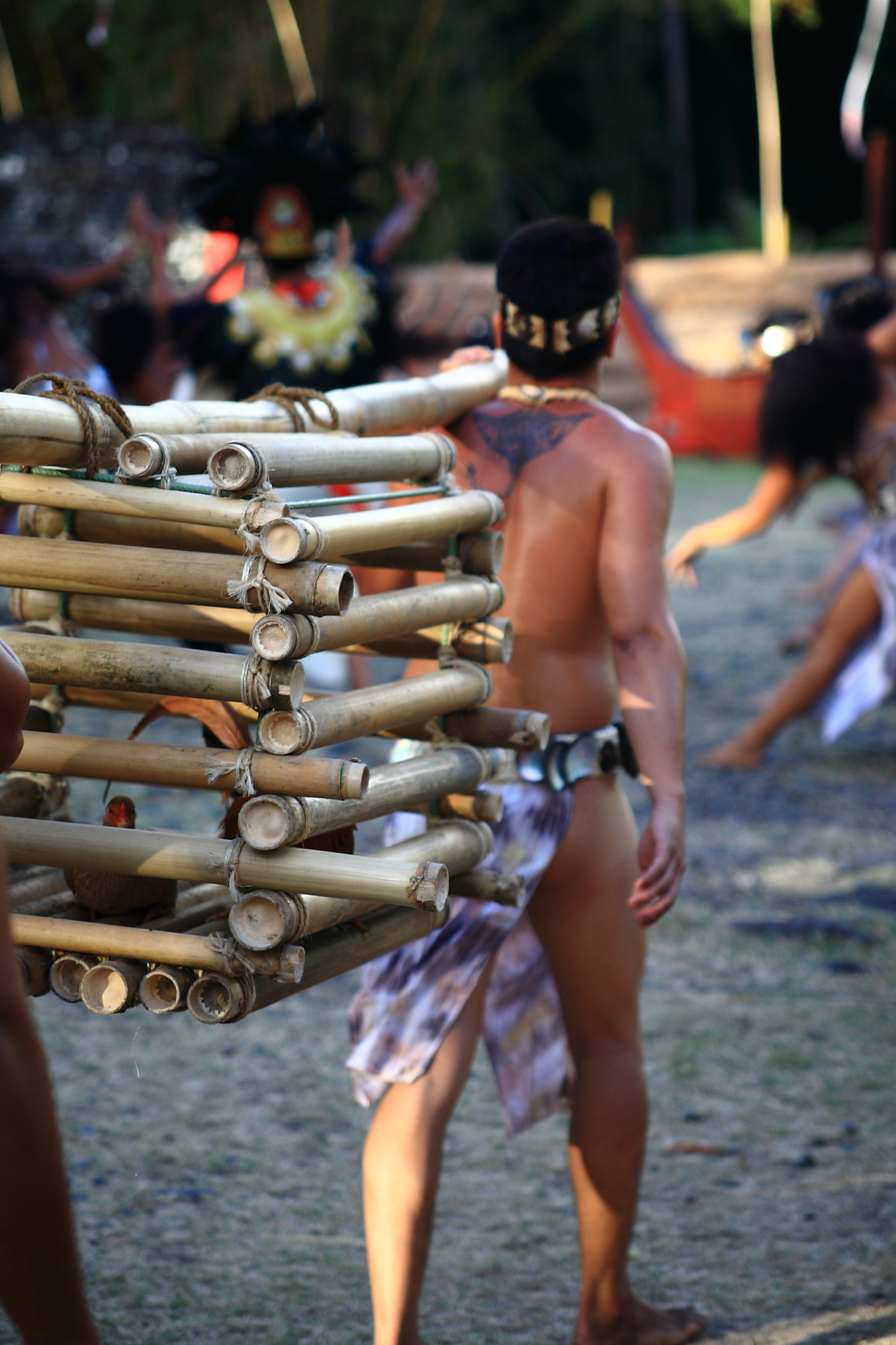 Canon EF 70-210mm f/3.5-4.5 USM sample photo. Bamboo cage photography