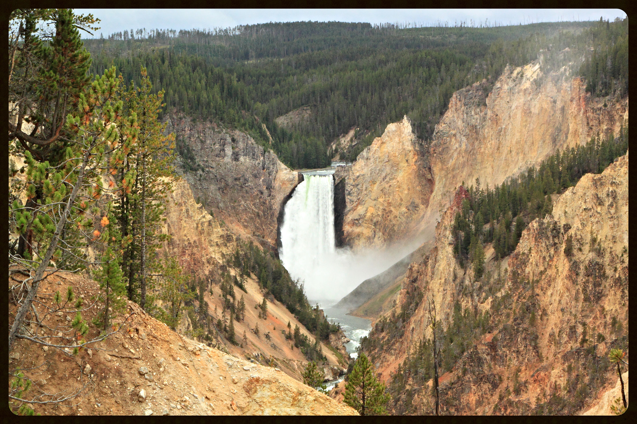 Canon EOS 500D (EOS Rebel T1i / EOS Kiss X3) sample photo. Yellowstone falls photography