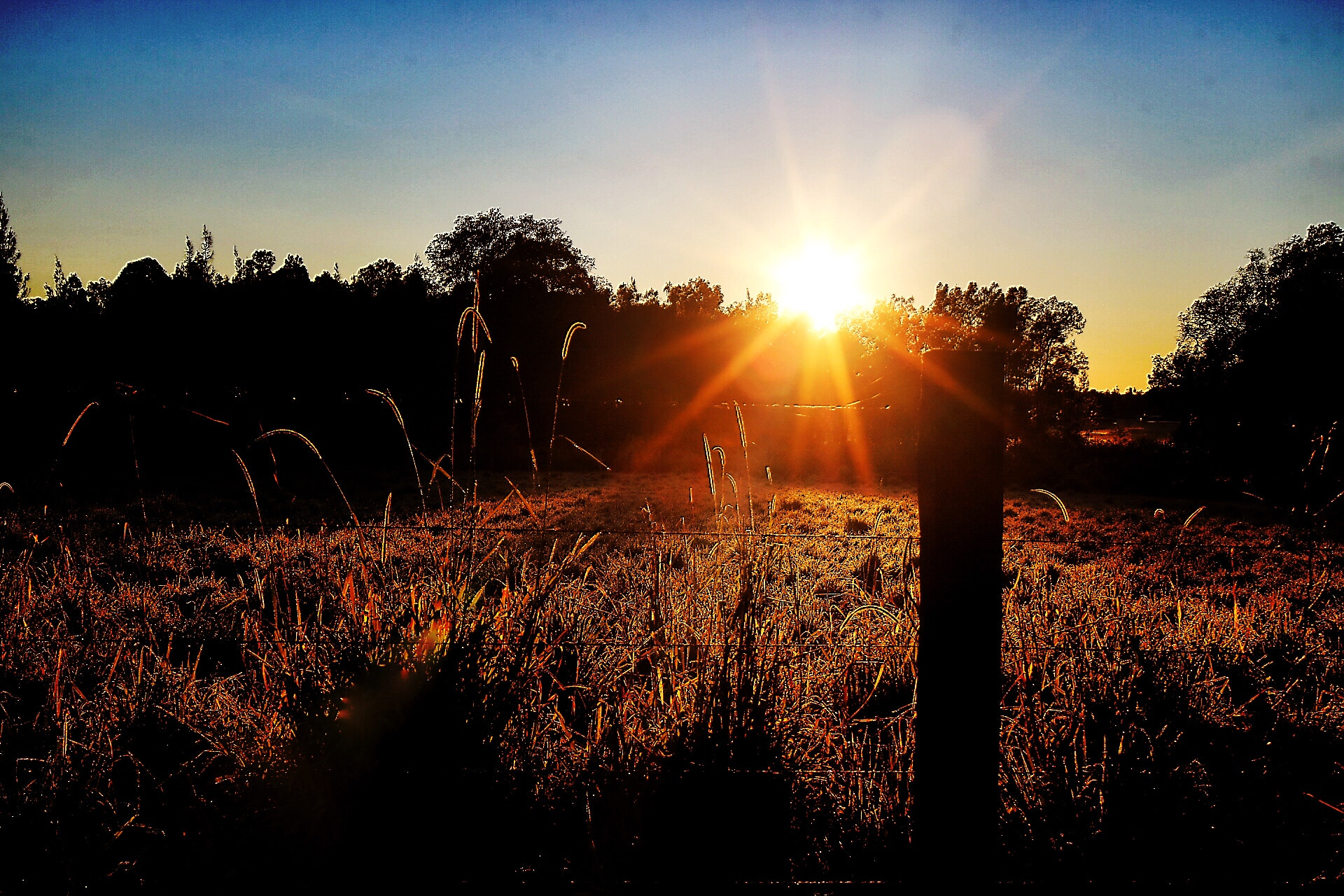 Canon EF-S 18-55mm F3.5-5.6 IS II sample photo. Morning glory at clybucca truck stop nsw photography