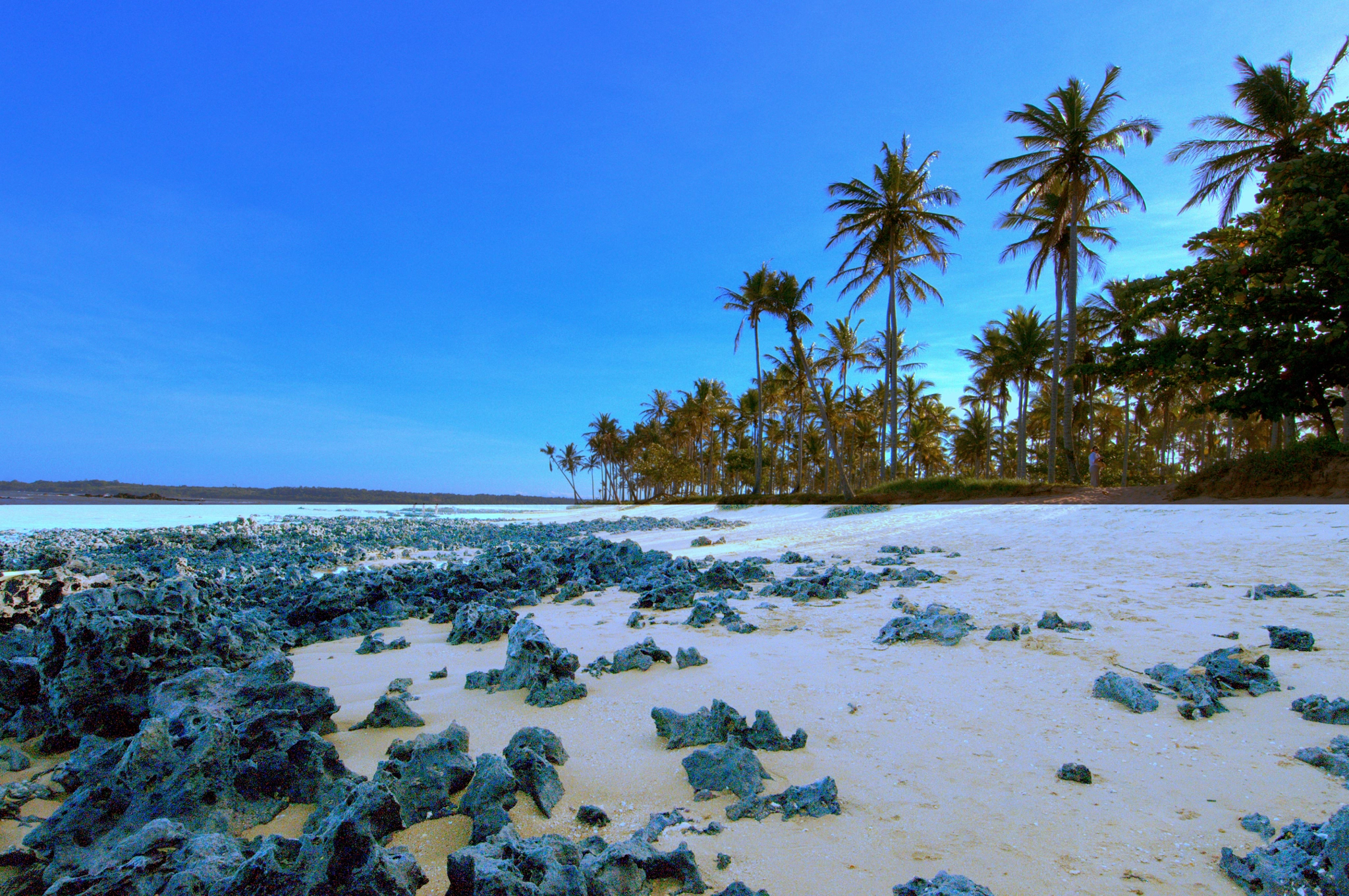 Nikon D300S sample photo. Pedras praia coqueiral aracruz photography
