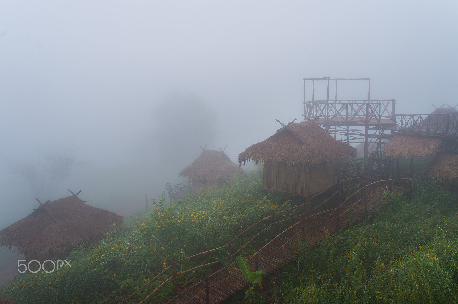 Nikon Df + Sigma 35mm F1.4 DG HSM Art sample photo. Hut at doi sango,north in chiangrai,thailand photography