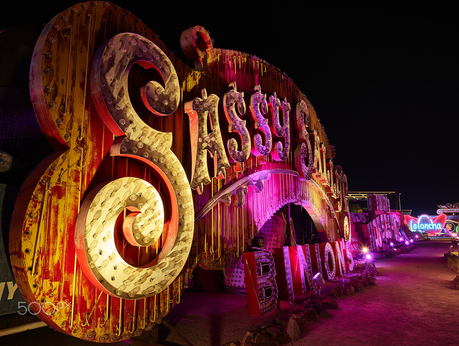 Phase One IQ3 100MP + Schneider LS 35mm f/3.5 sample photo. Neon museum photo shoot photography