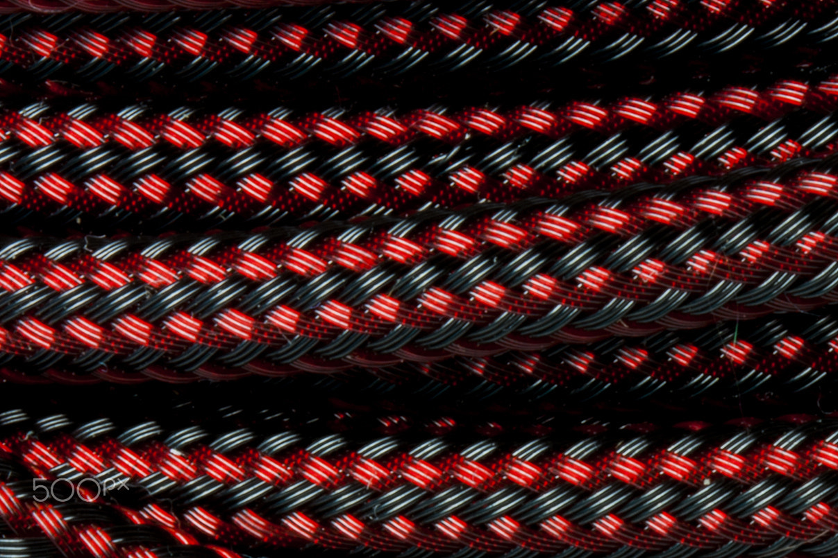 Canon EF 100mm F2.8 Macro USM sample photo. Teleios red and black fusion (close up) photography