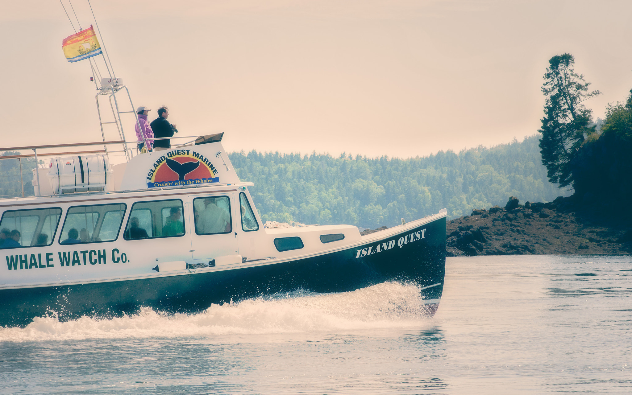 Nikon D300 + Nikon AF-S Nikkor 85mm F1.8G sample photo. Whale watching - new brunswick 2016 photography