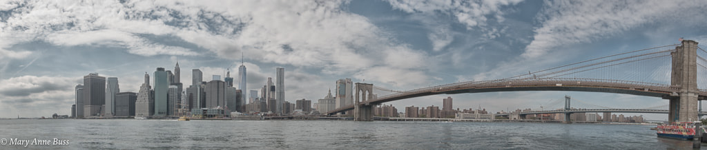Canon EOS 70D + Canon EF 16-35mm F4L IS USM sample photo. New york city skyline photography