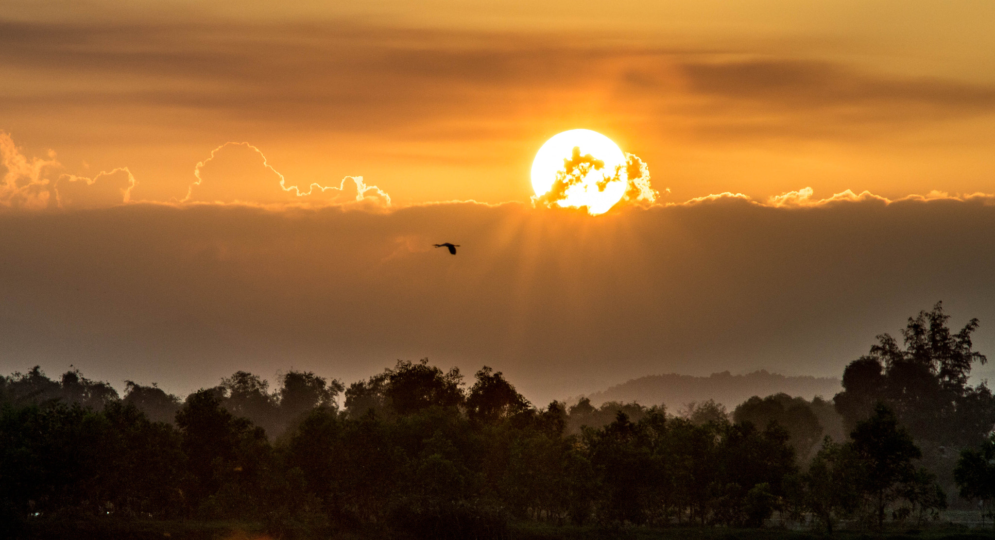 Nikon D3200 + AF Zoom-Nikkor 70-210mm f/4 sample photo. Sunset photography