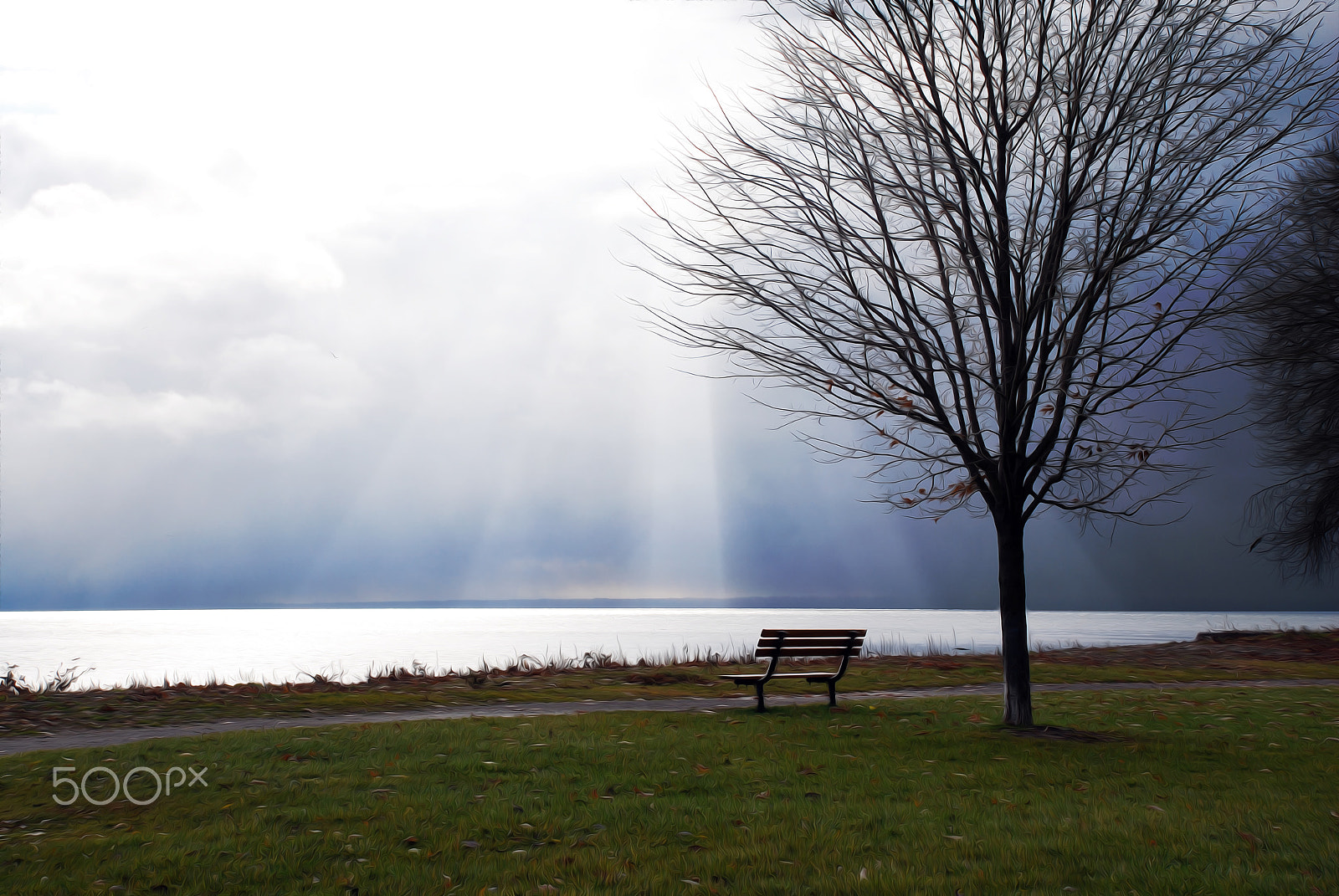 Nikon D60 sample photo. Coronation park, oakville photography