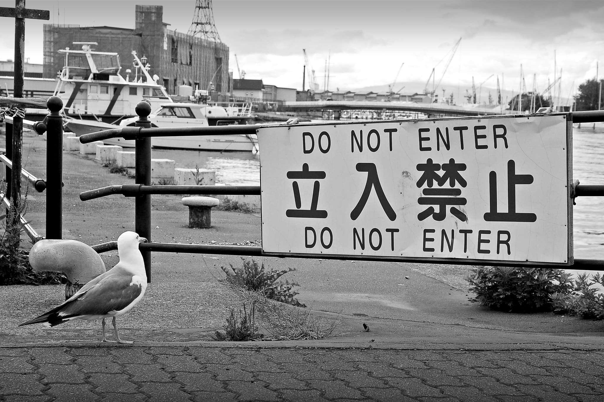 Nikon D50 sample photo. Do not enter photography