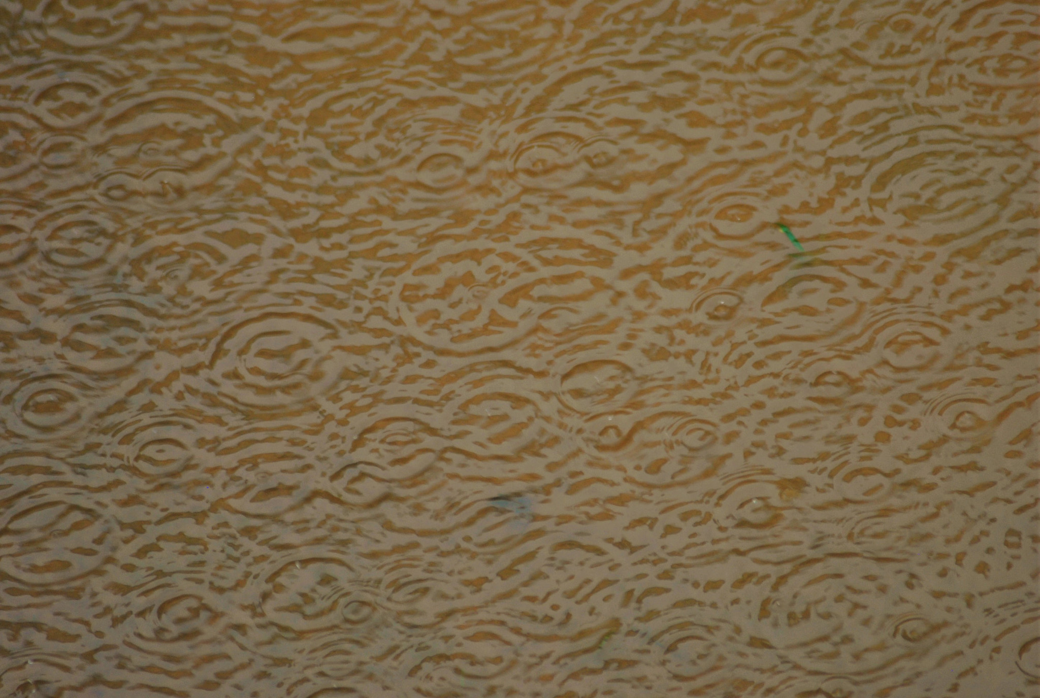 Nikon D3000 sample photo