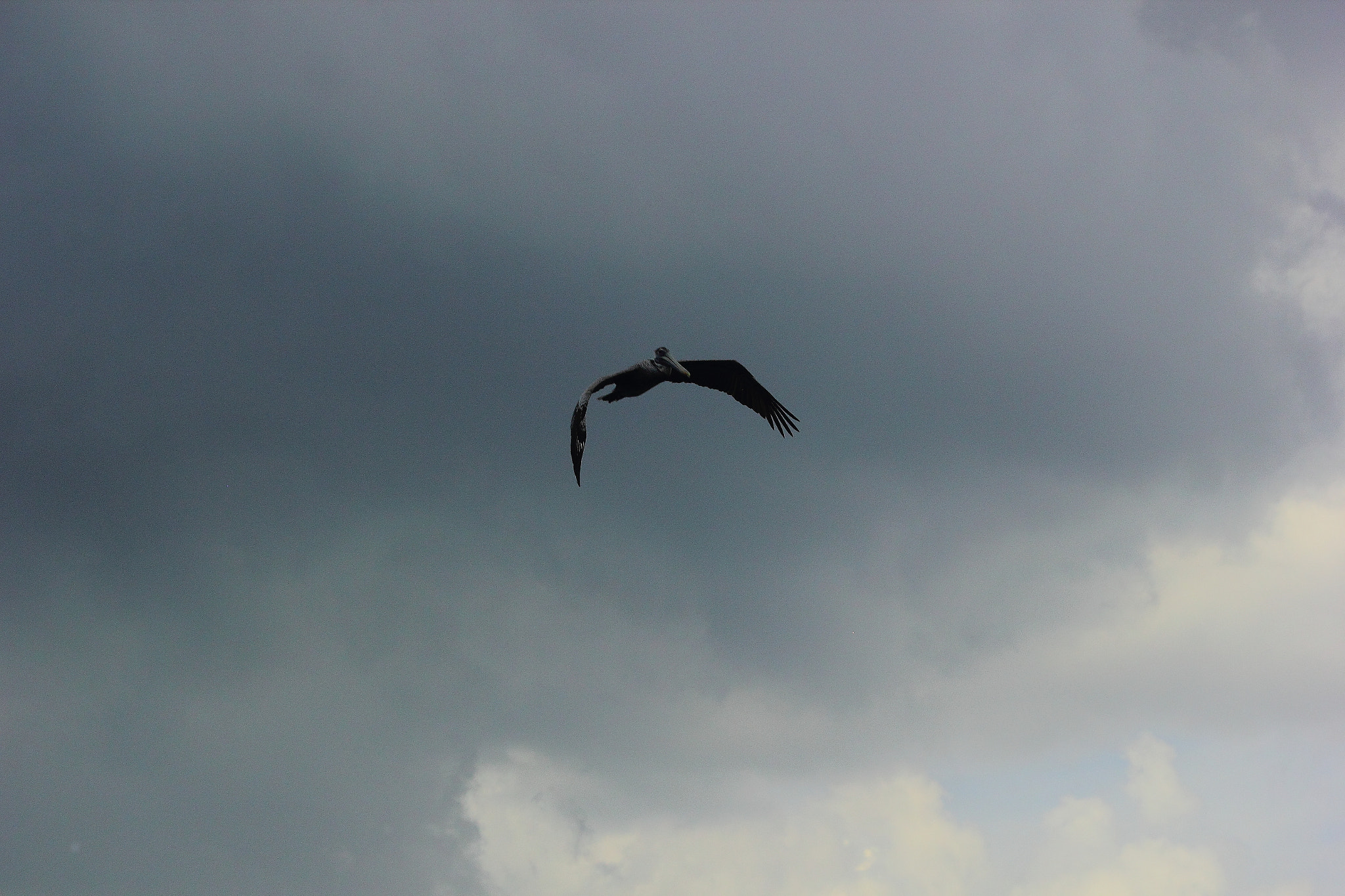 Canon EF 70-300mm F4-5.6 IS USM sample photo. No destination photography