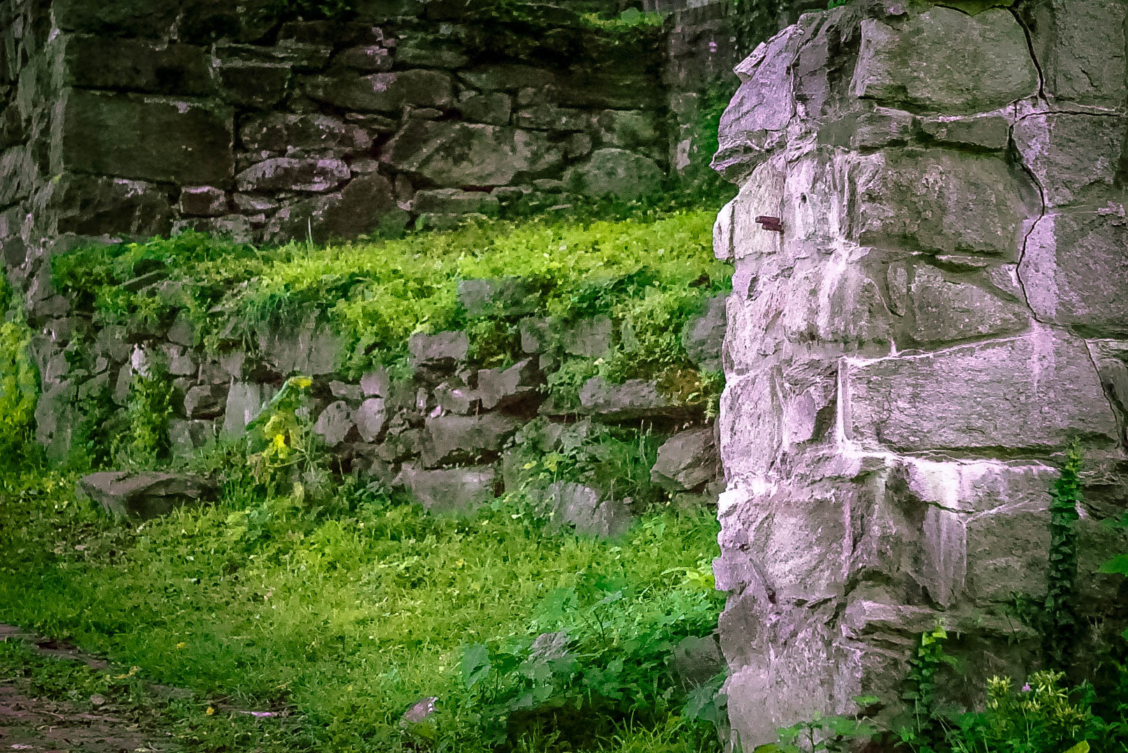 Sony a5100 sample photo. Stone way photography