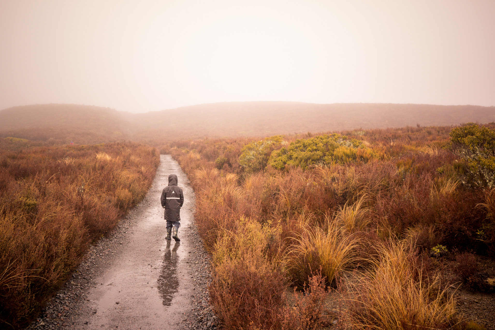 Sony Alpha NEX-7 + Sony E 20mm F2.8 sample photo. One raincoat to rule them all photography