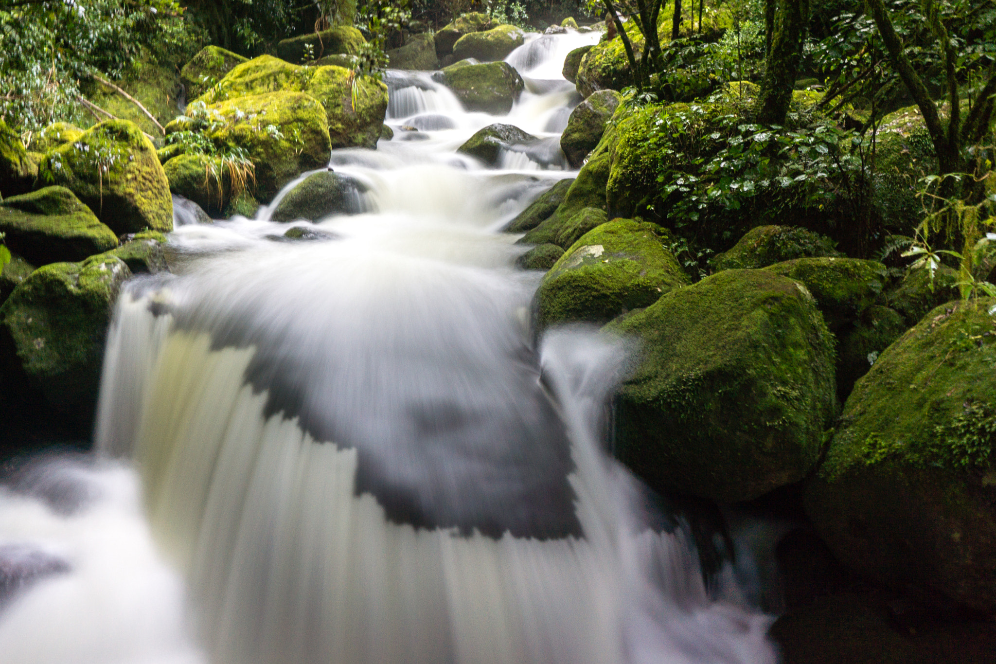 Sony E 20mm F2.8 sample photo. Nz waikato photography