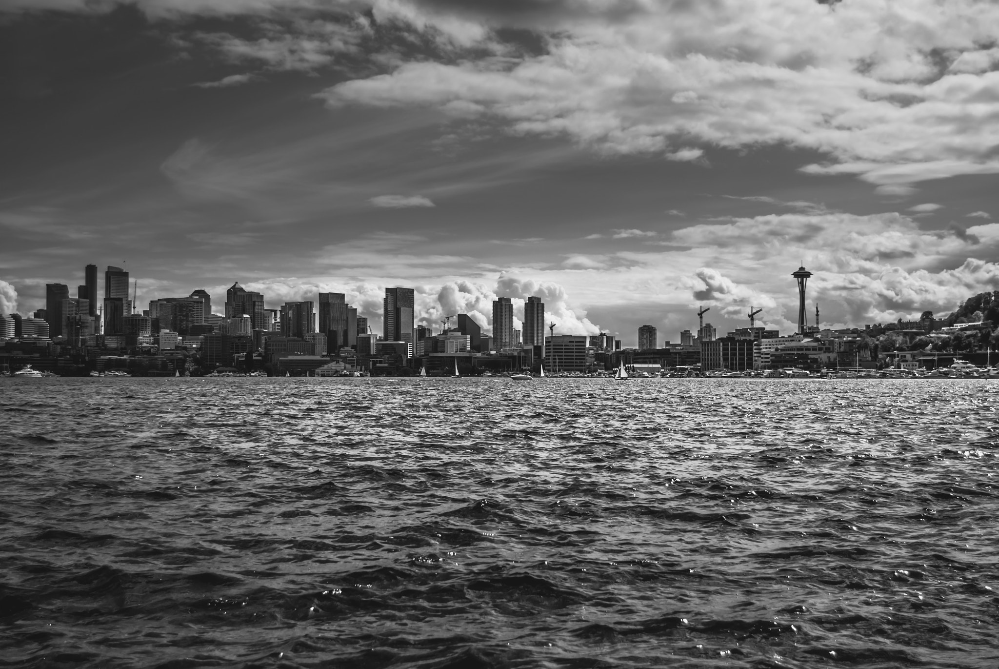 Nikon D200 sample photo. Seattle photography