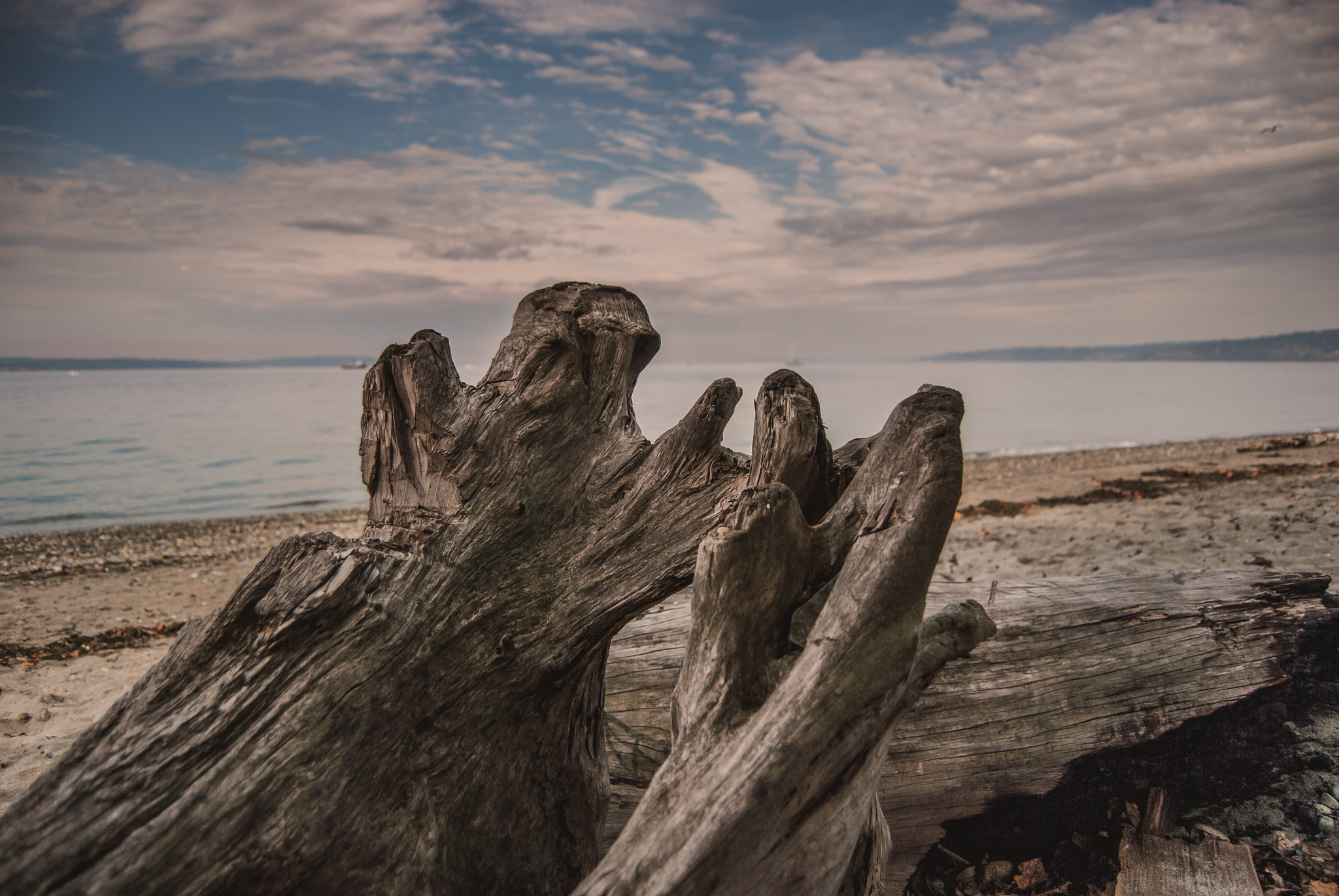 Nikon D200 sample photo. Golden gardens photography