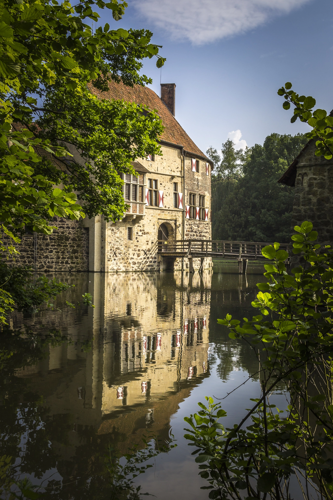 Canon EF-S 17-55mm F2.8 IS USM sample photo. Burgvischering photography