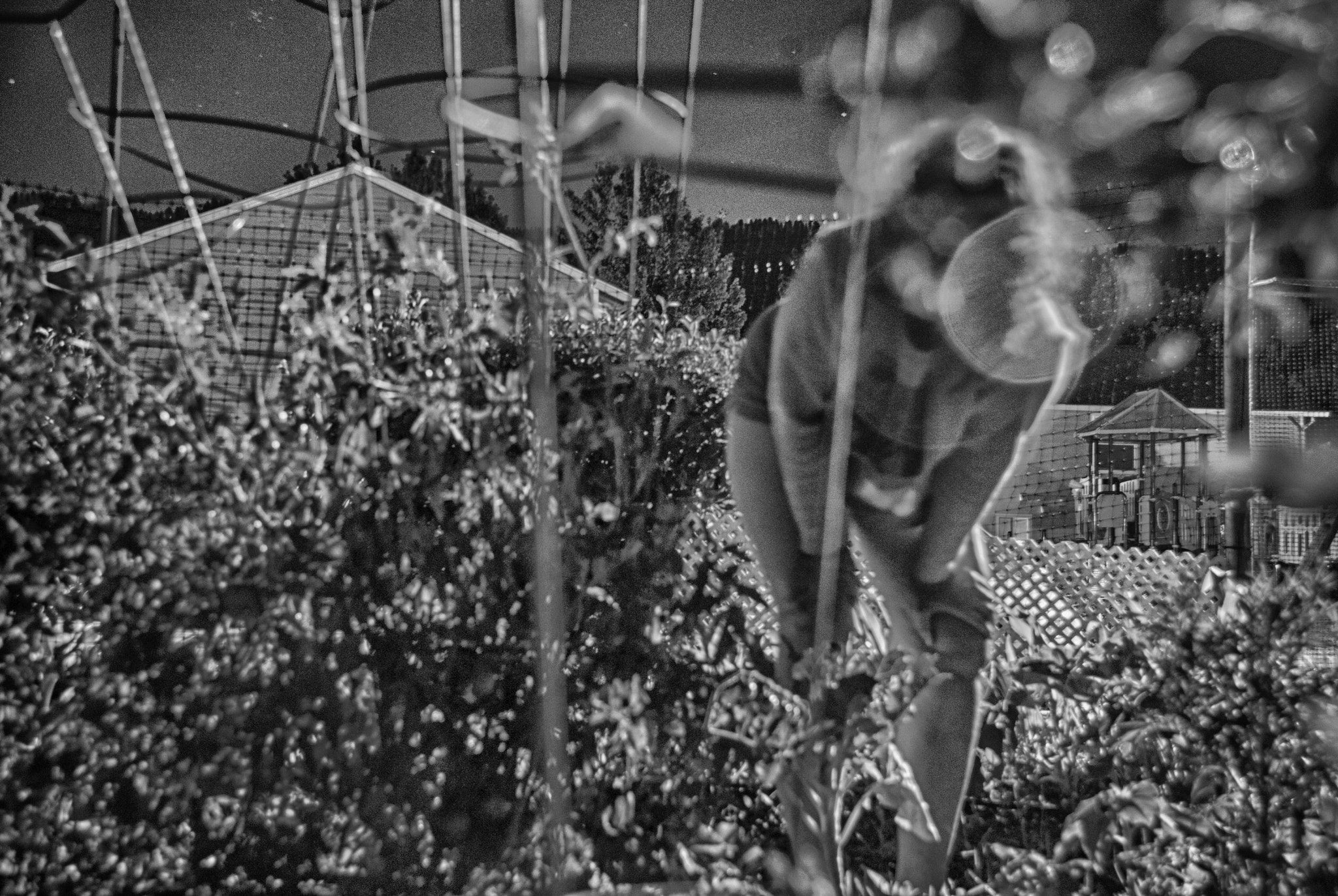 Nikon D3000 sample photo. Midnight gardener photography