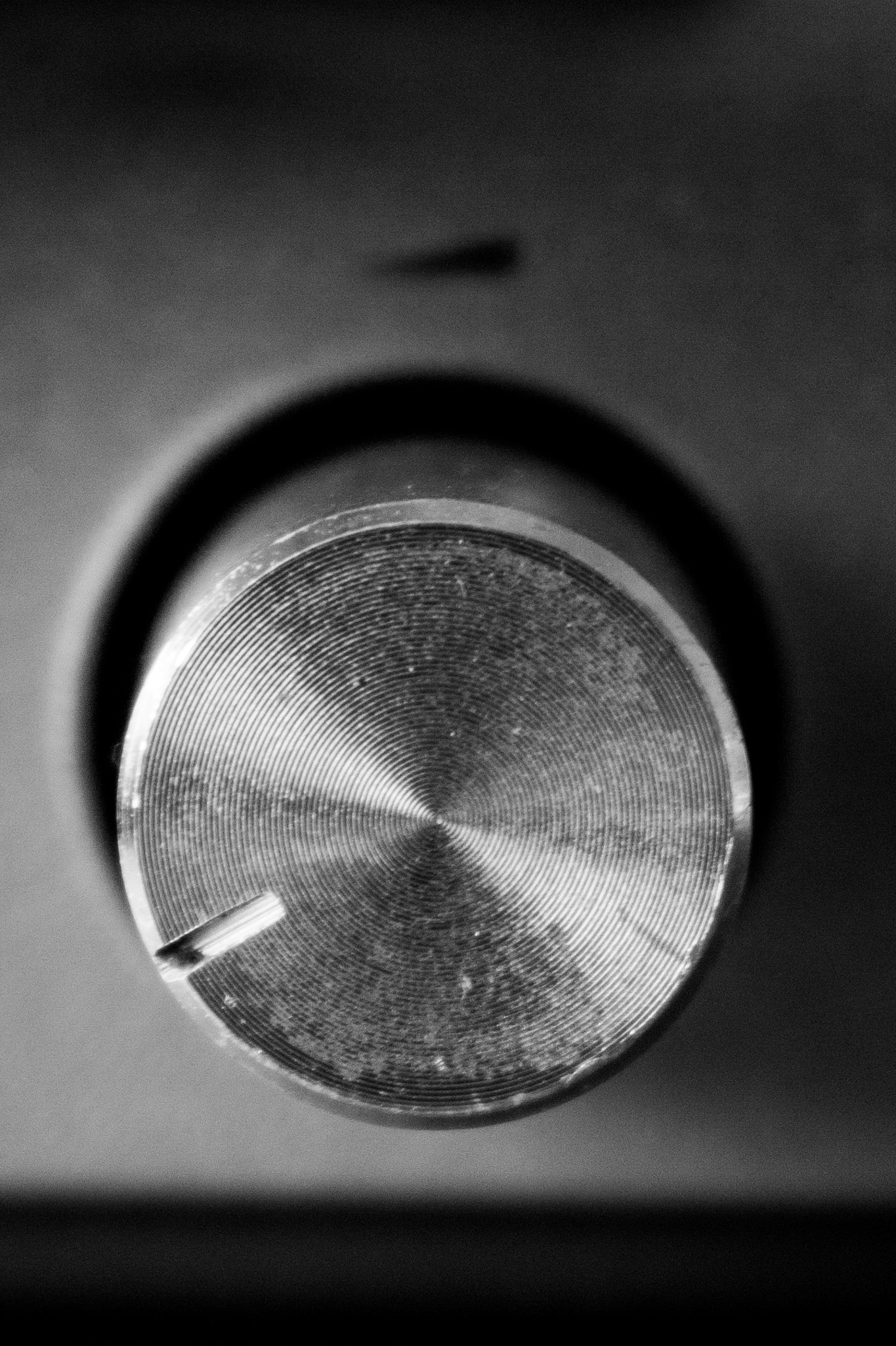 Canon EOS 100D (EOS Rebel SL1 / EOS Kiss X7) sample photo. Amplifier knob photography