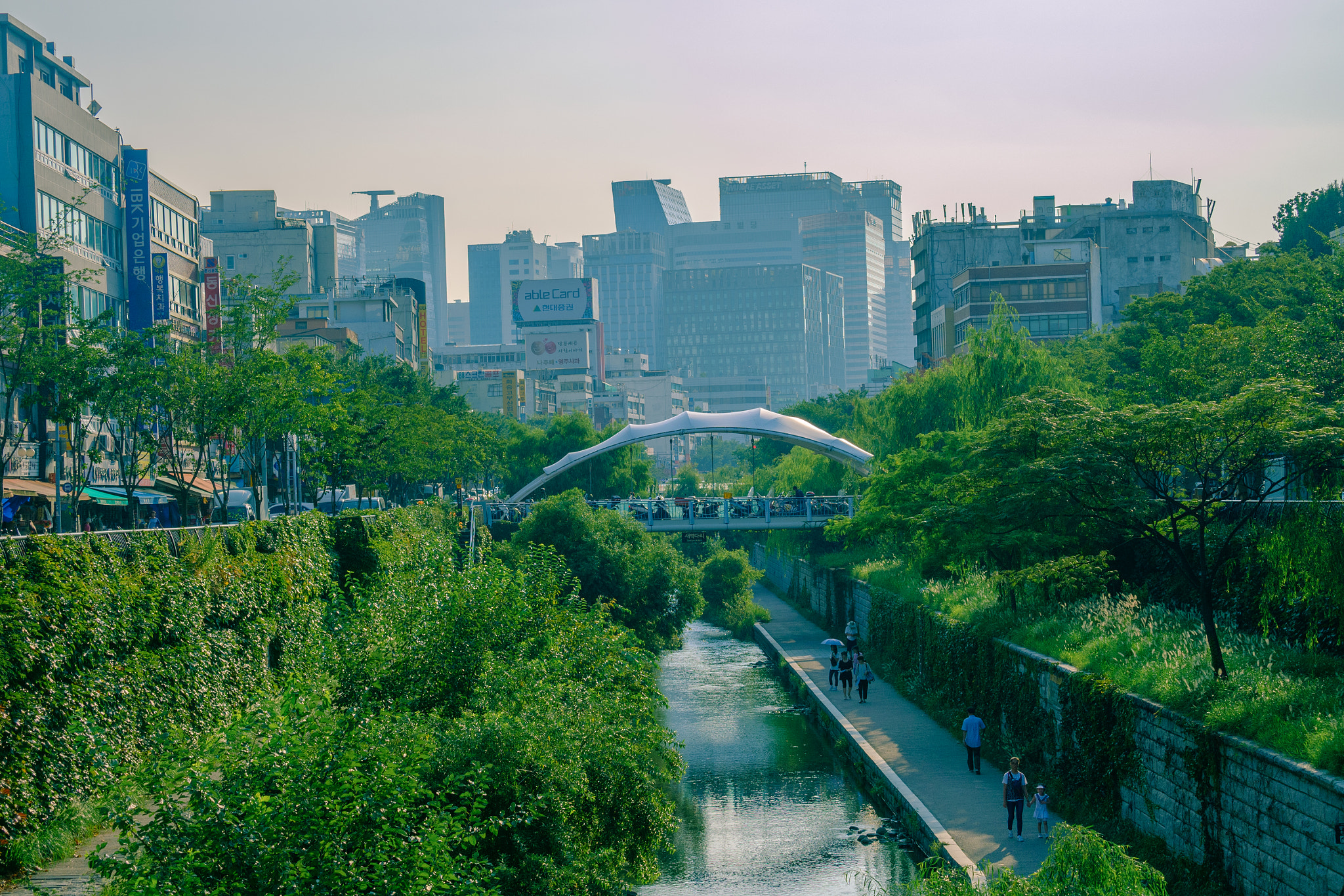 Fujifilm X-A2 + Fujifilm XC 50-230mm F4.5-6.7 OIS II sample photo. Nature in city photography