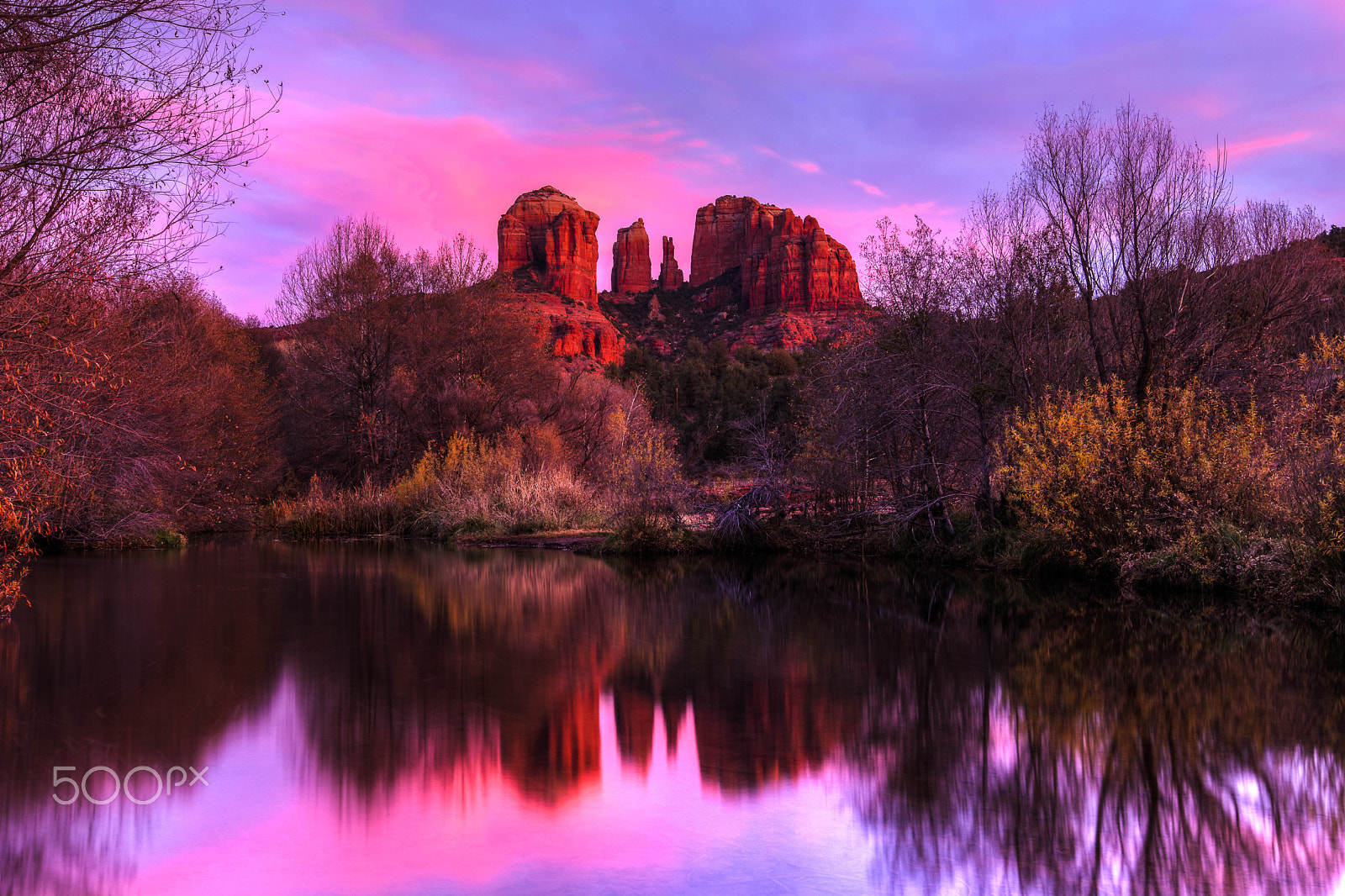 Nikon AF-S Nikkor 16-35mm F4G ED VR sample photo. Pink champagne on rocks photography