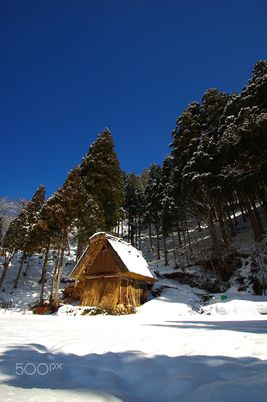 Pentax K-3 sample photo. Hut covered in snow photography